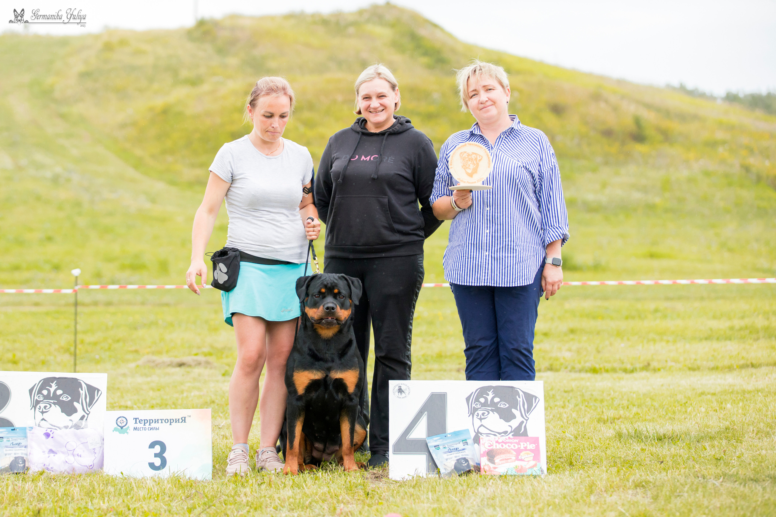 Рязань моно ротвейлеров 12.08.2023. Фотограф-анималист Юлия Германика