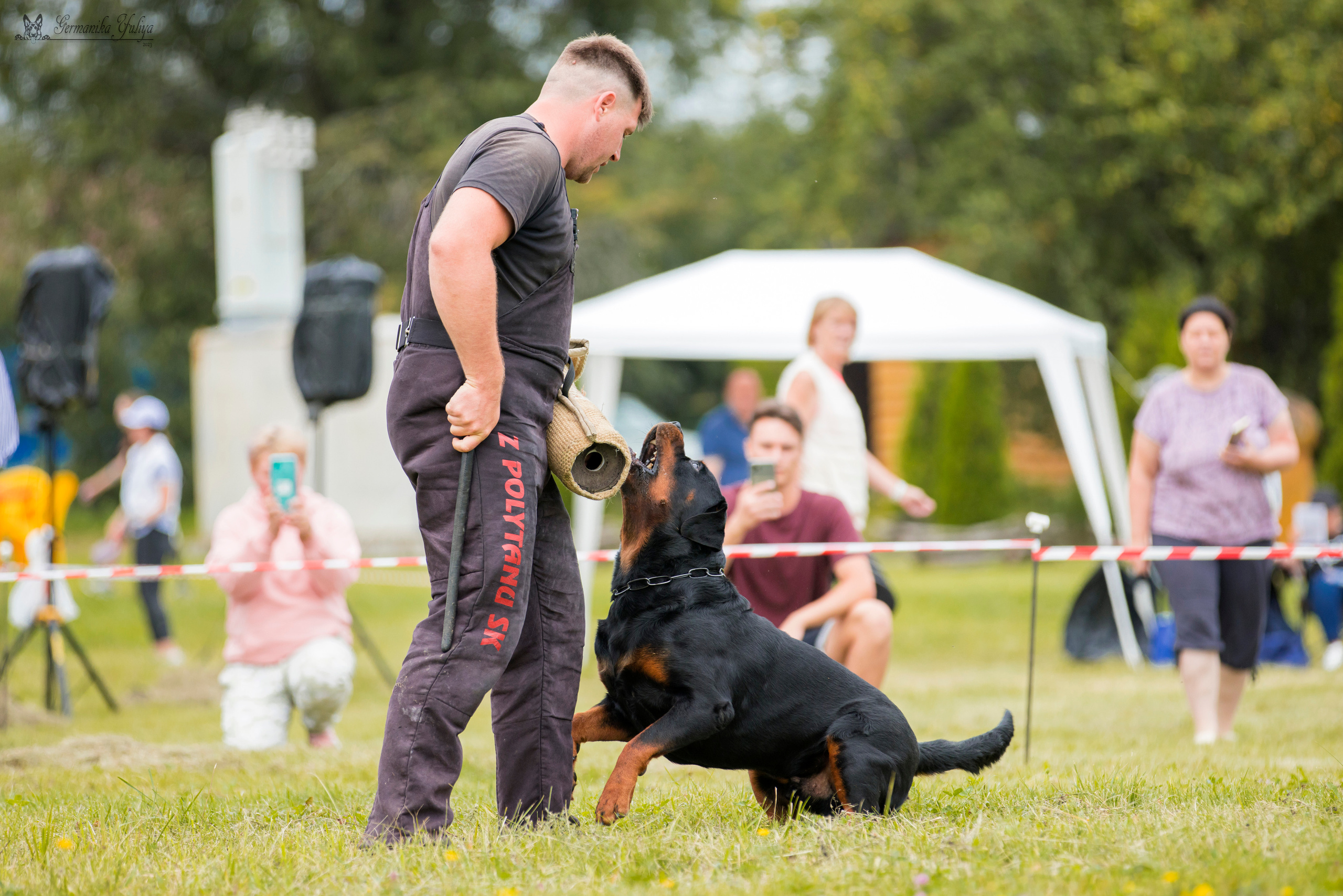 Рязань моно ротвейлеров 12.08.2023. Фотограф-анималист Юлия Германика