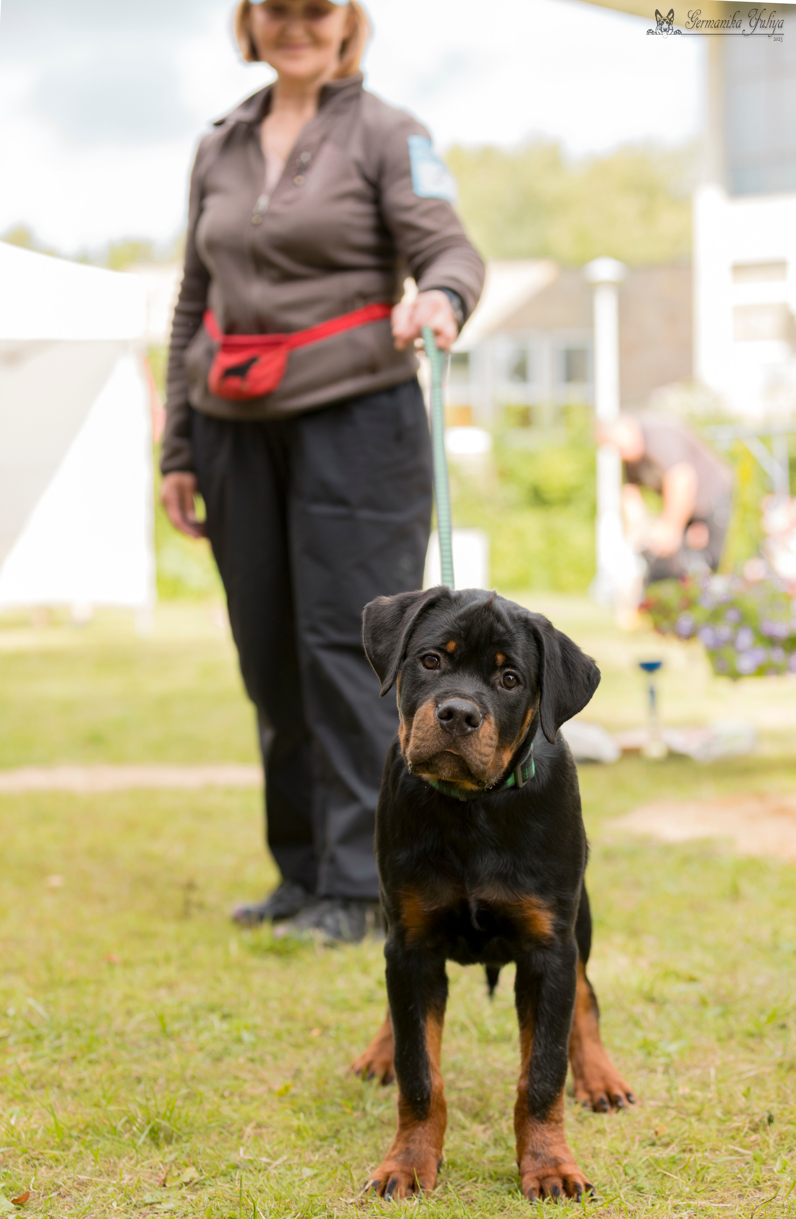 ПК и КЧК ротвейлеров Питер 22-23.07.2023. Фотограф-анималист Юлия Германика