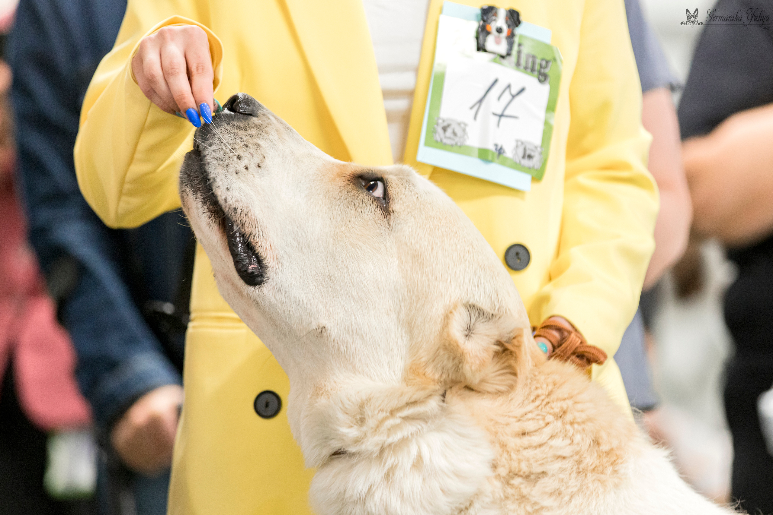 Сфера-Ховрино 29-30.07.2023. Фотограф-анималист Юлия Германика