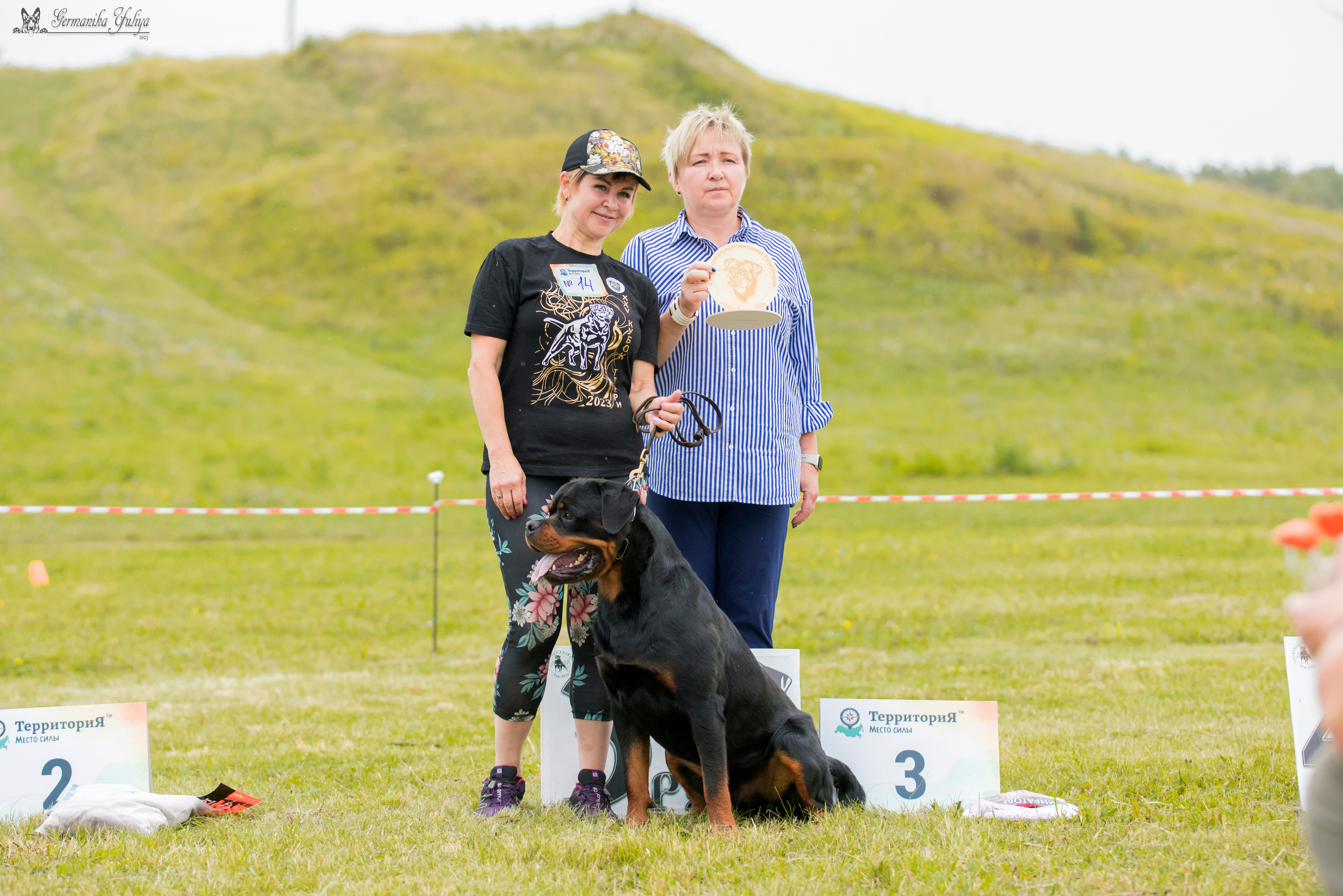Рязань моно ротвейлеров 12.08.2023. Фотограф-анималист Юлия Германика