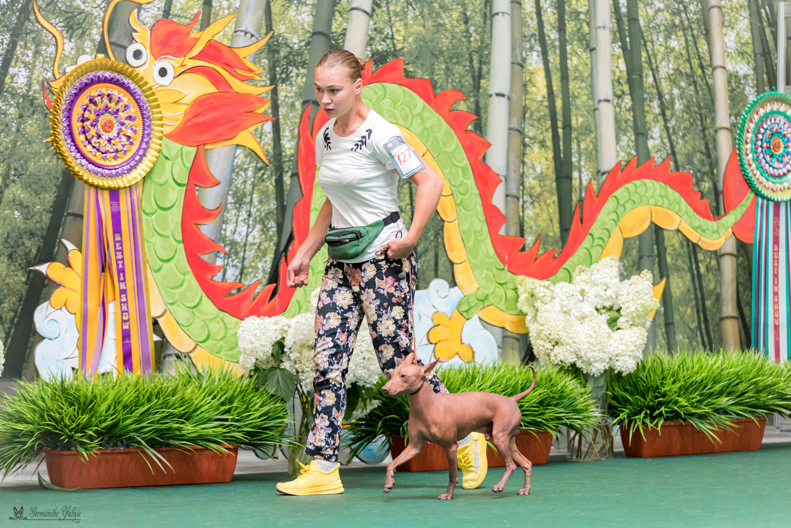 Крокус,Псков 5-6.08.2023. Фотограф-анималист Юлия Германика