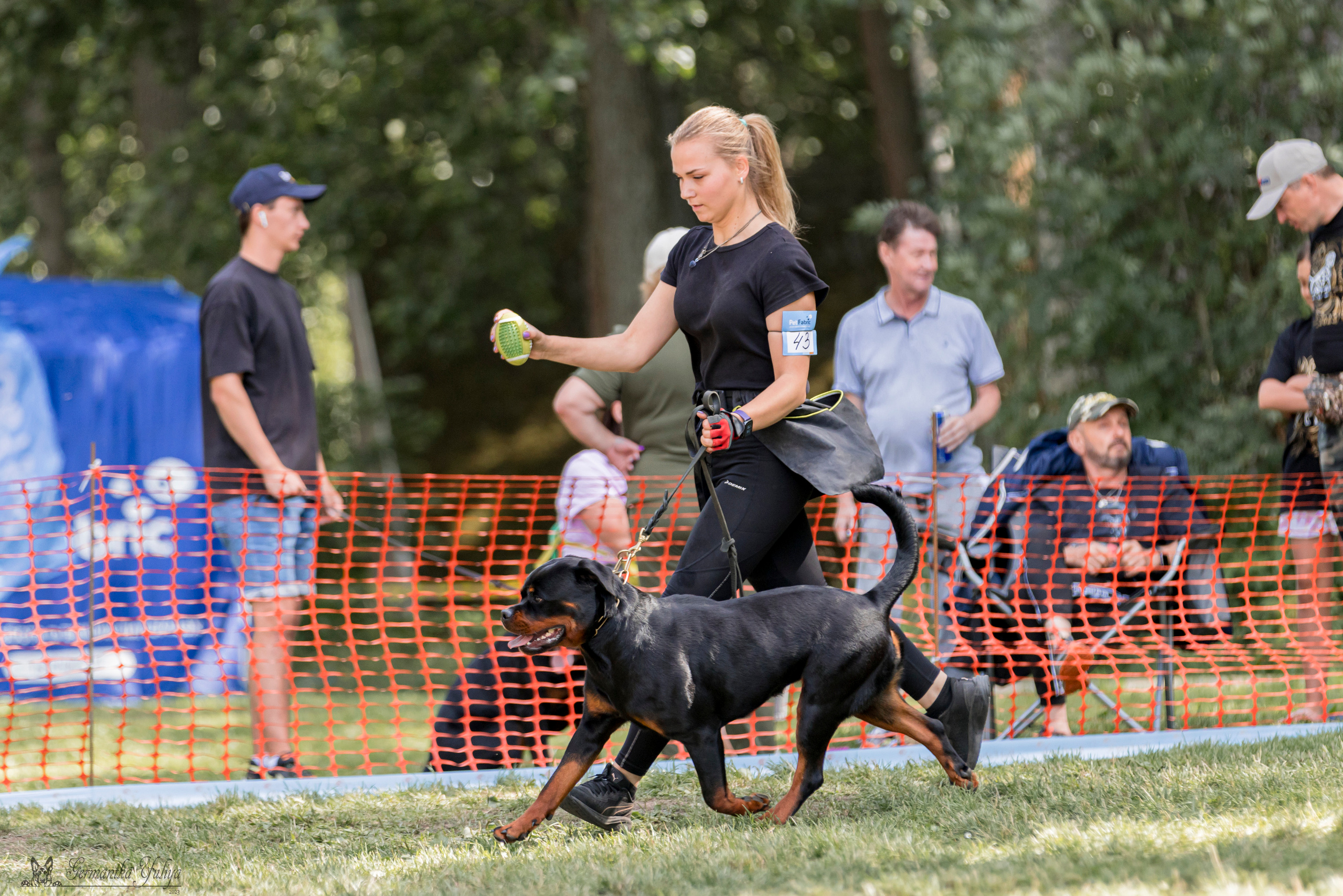 ПК и КЧК ротвейлеров Питер 22-23.07.2023. Фотограф-анималист Юлия Германика