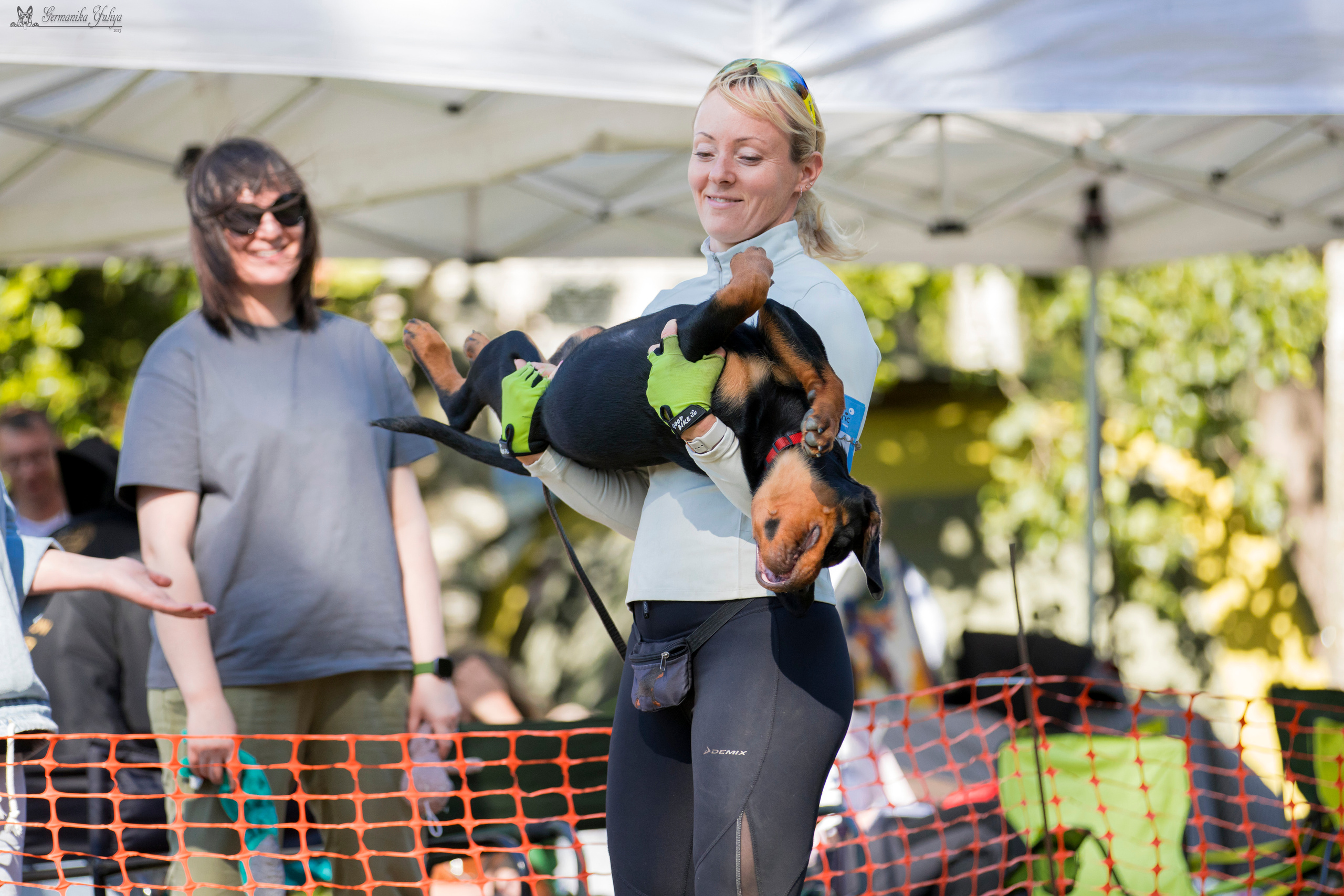ПК и КЧК ротвейлеров Питер 22-23.07.2023. Фотограф-анималист Юлия Германика