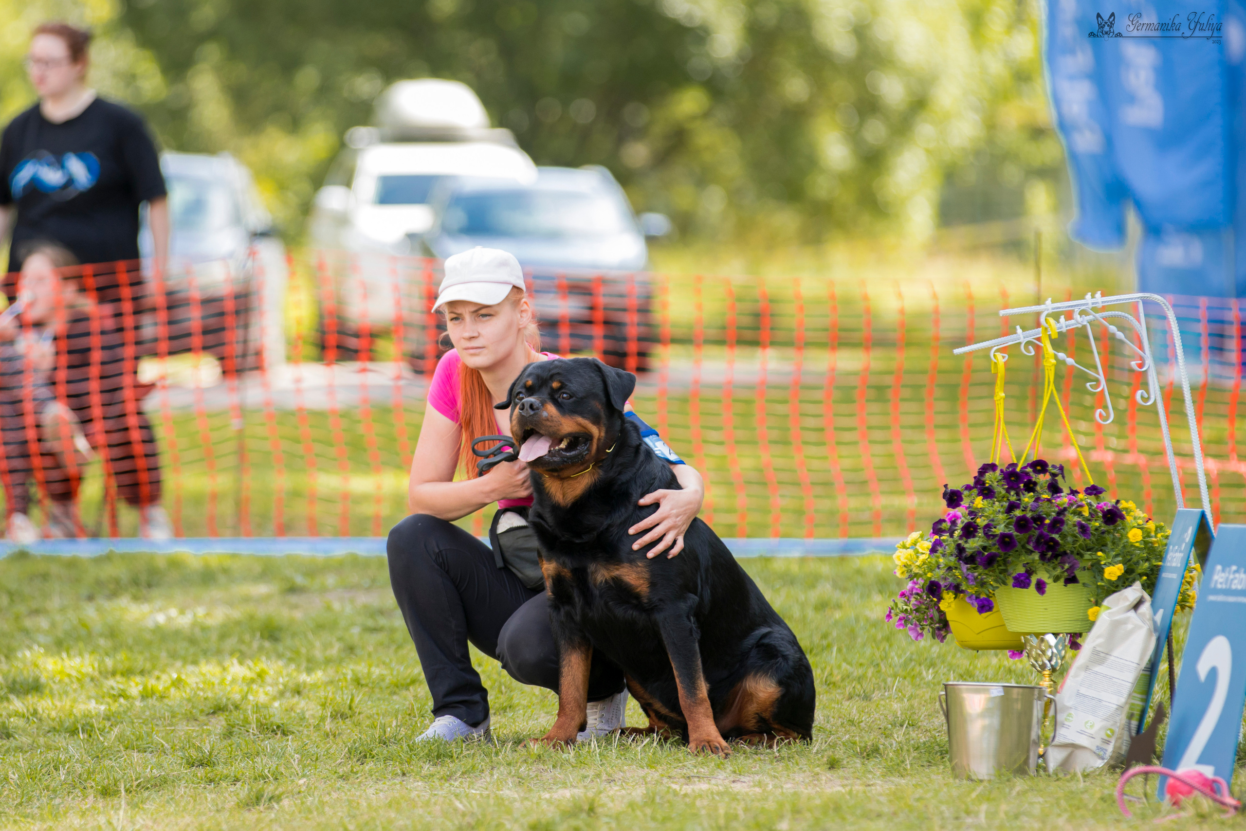 ПК и КЧК ротвейлеров Питер 22-23.07.2023. Фотограф-анималист Юлия Германика