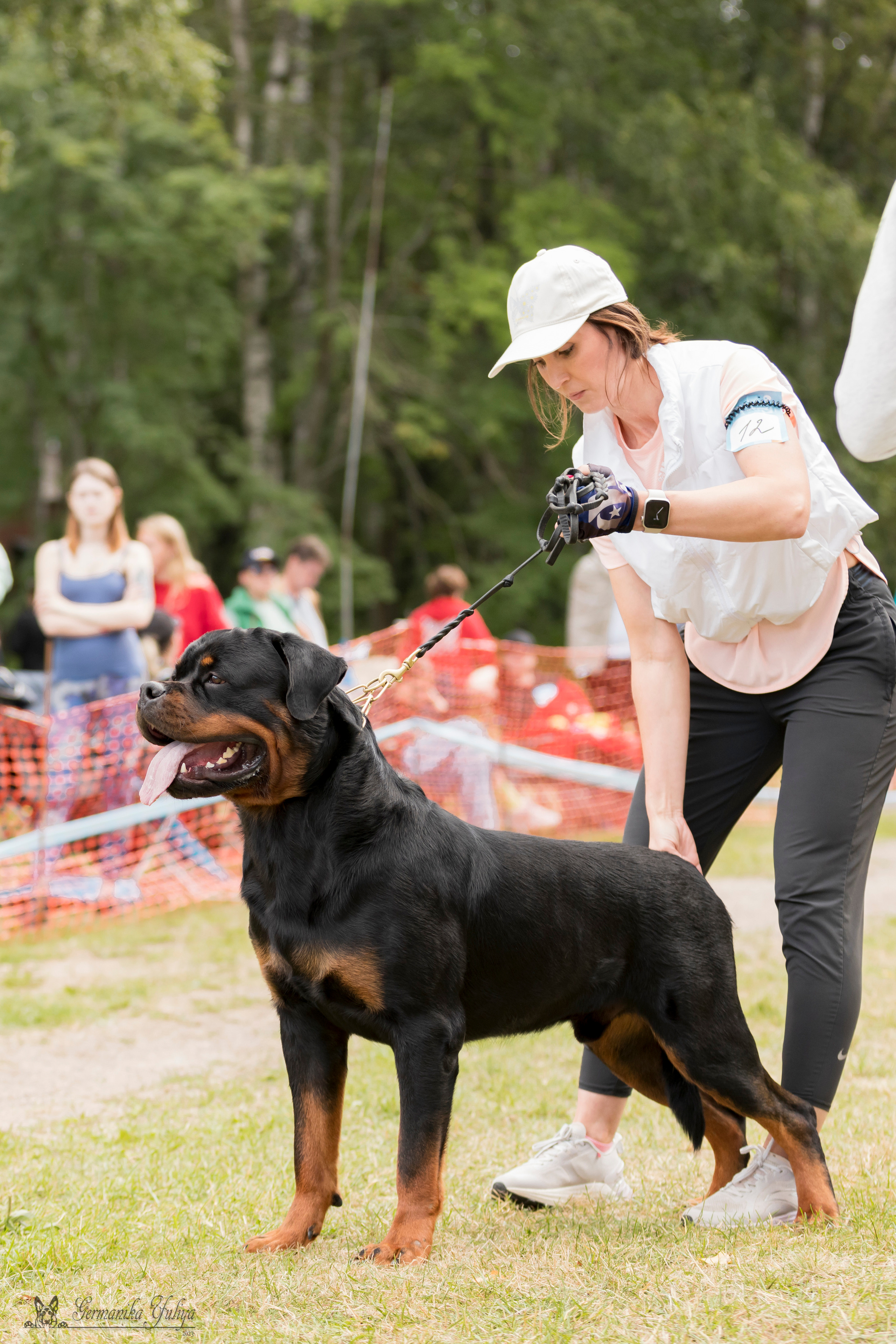 ПК и КЧК ротвейлеров Питер 22-23.07.2023. Фотограф-анималист Юлия Германика