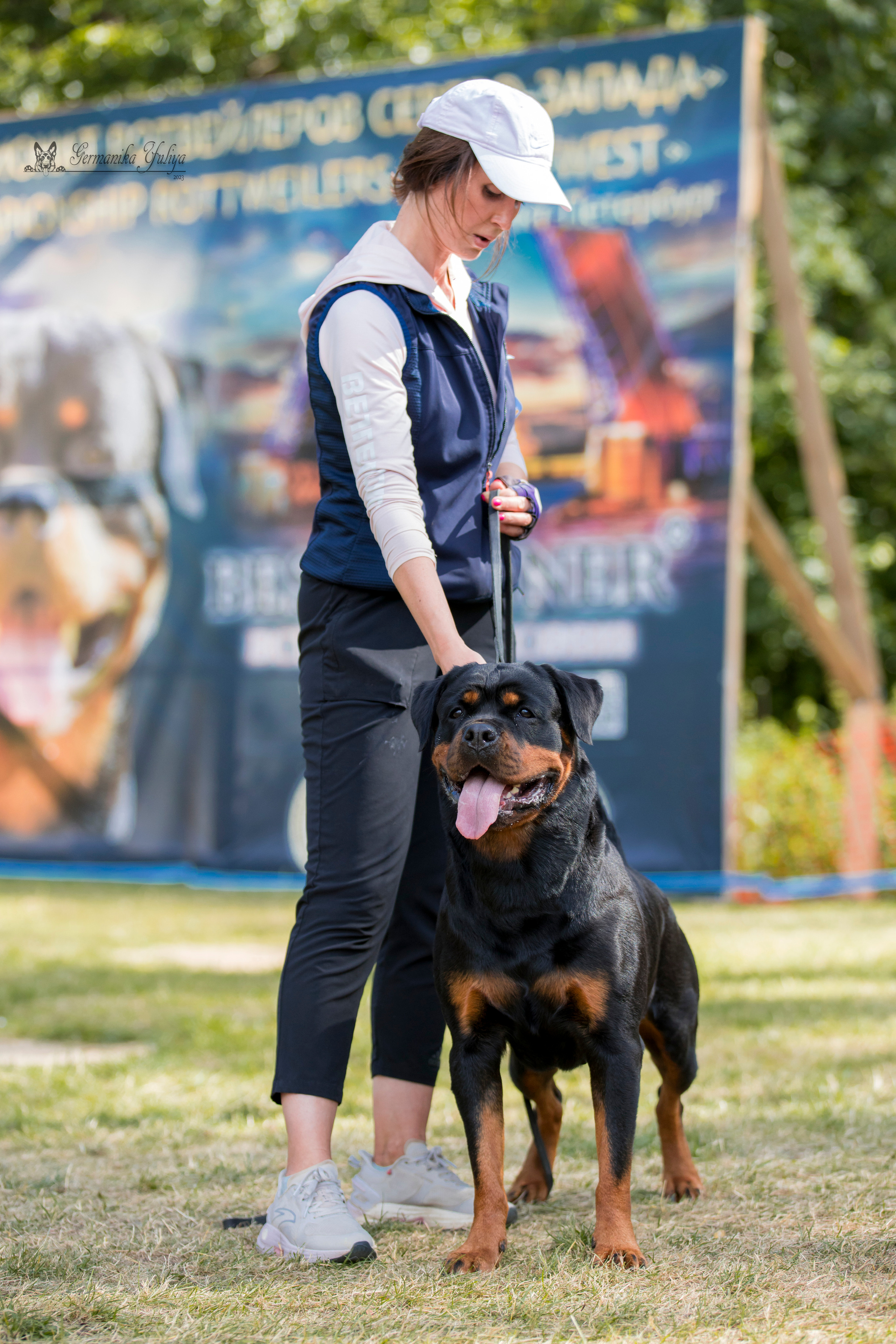 ПК и КЧК ротвейлеров Питер 22-23.07.2023. Фотограф-анималист Юлия Германика