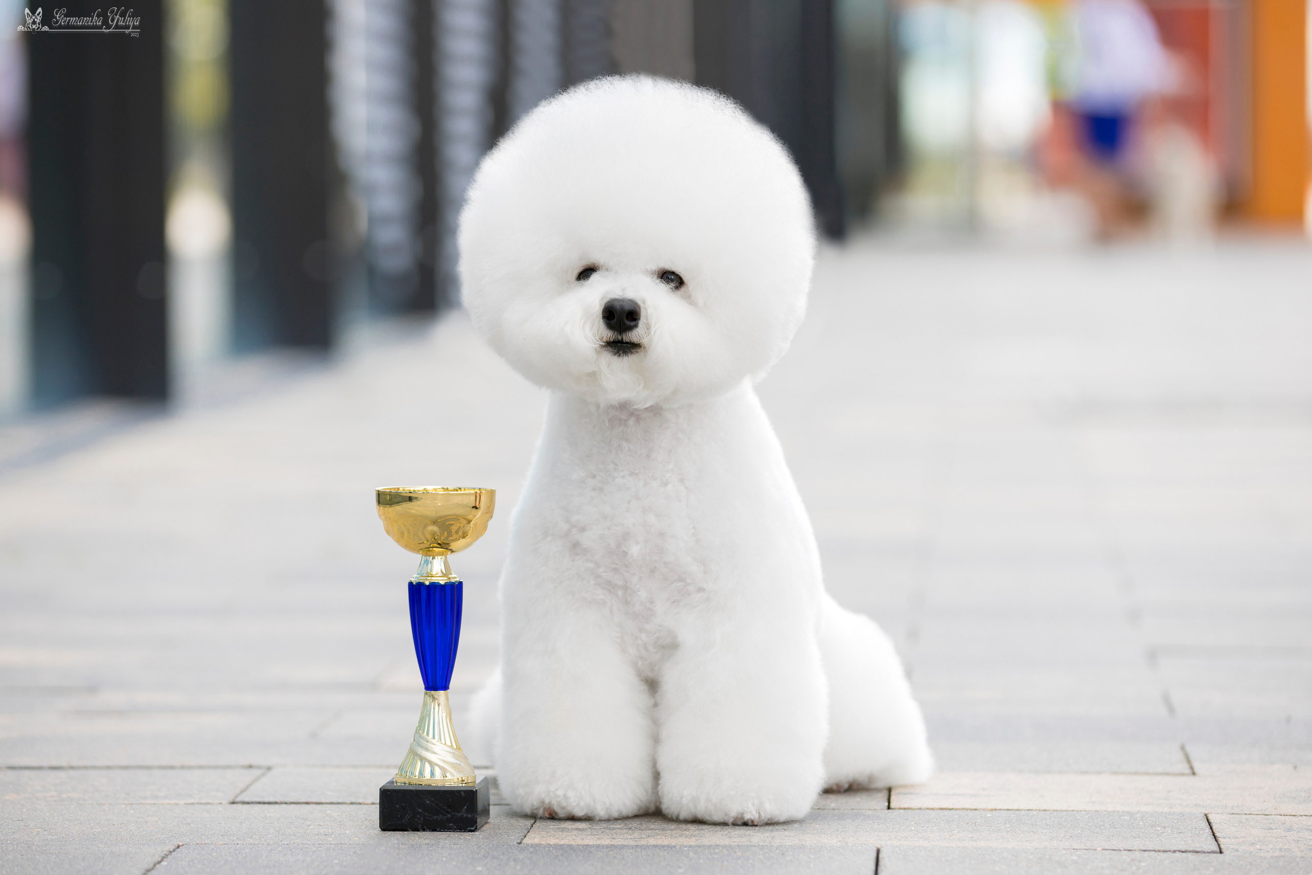 Питер 2-3.09.2023. Фотограф-анималист Юлия Германика