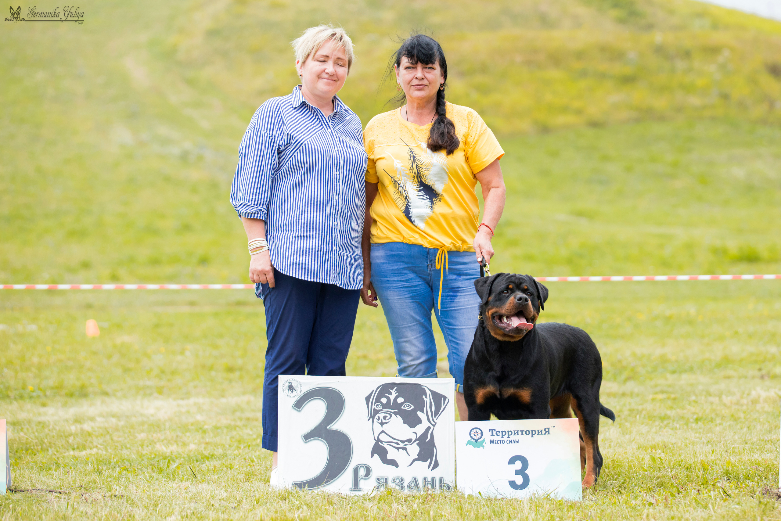 Рязань моно ротвейлеров 12.08.2023. Фотограф-анималист Юлия Германика