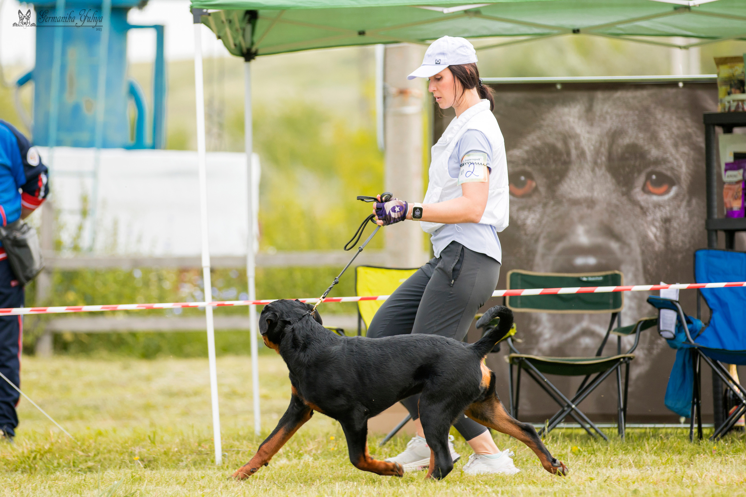 Рязань моно ротвейлеров 12.08.2023. Фотограф-анималист Юлия Германика