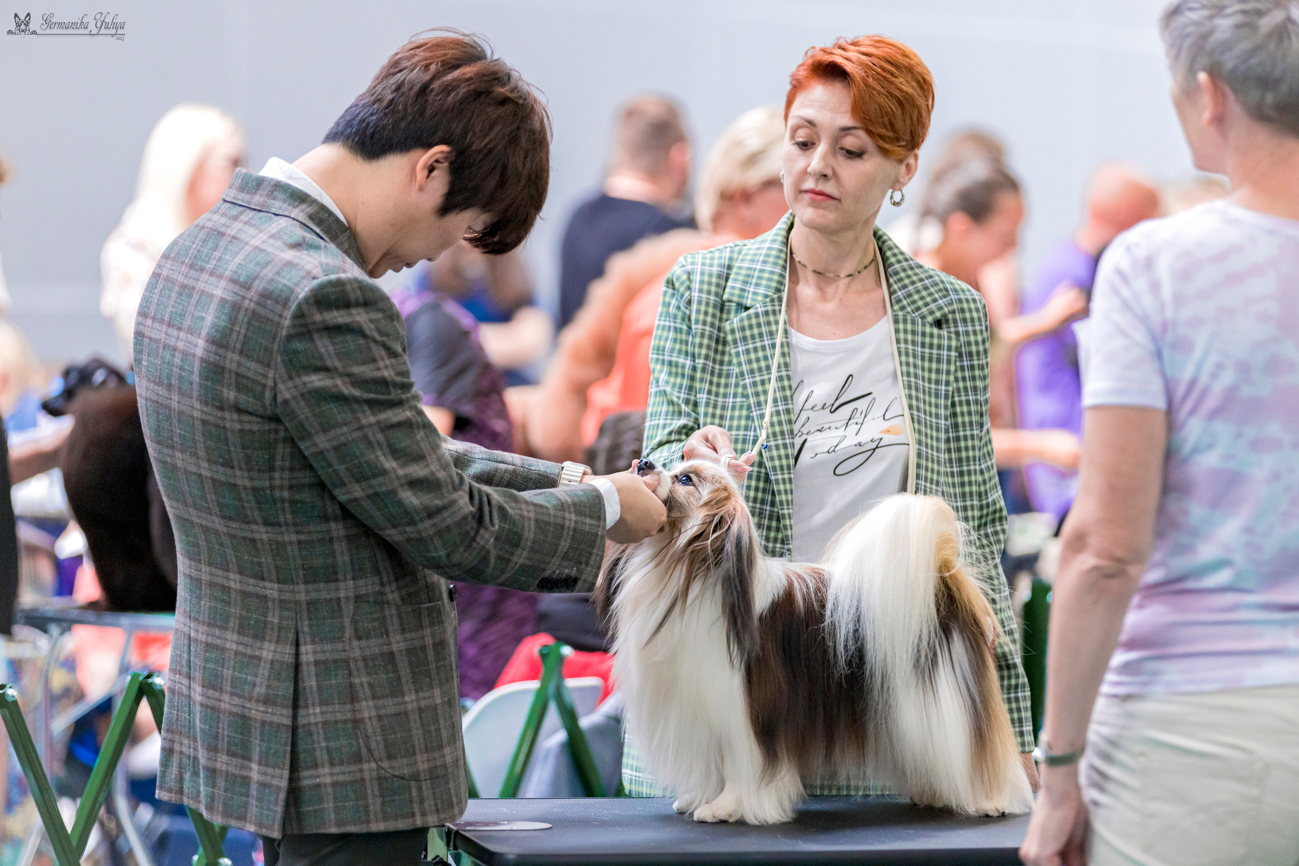 Крокус,Псков 5-6.08.2023. Фотограф-анималист Юлия Германика