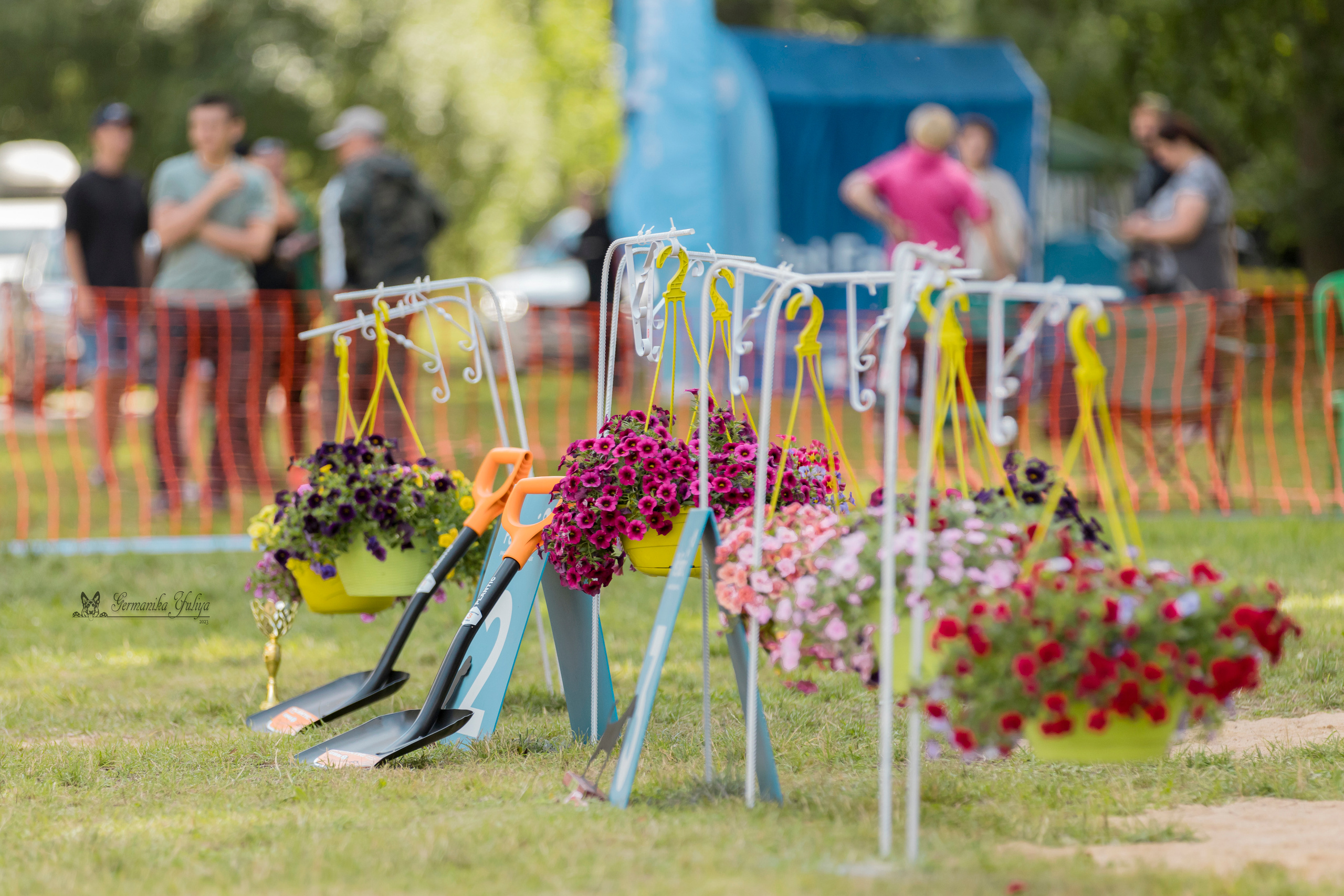 ПК и КЧК ротвейлеров Питер 22-23.07.2023. Фотограф-анималист Юлия Германика