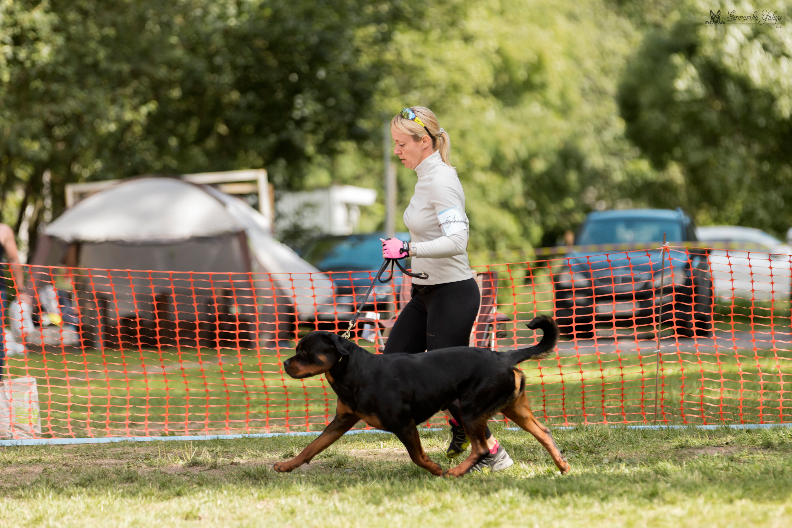 ПК и КЧК ротвейлеров Питер 22-23.07.2023. Фотограф-анималист Юлия Германика