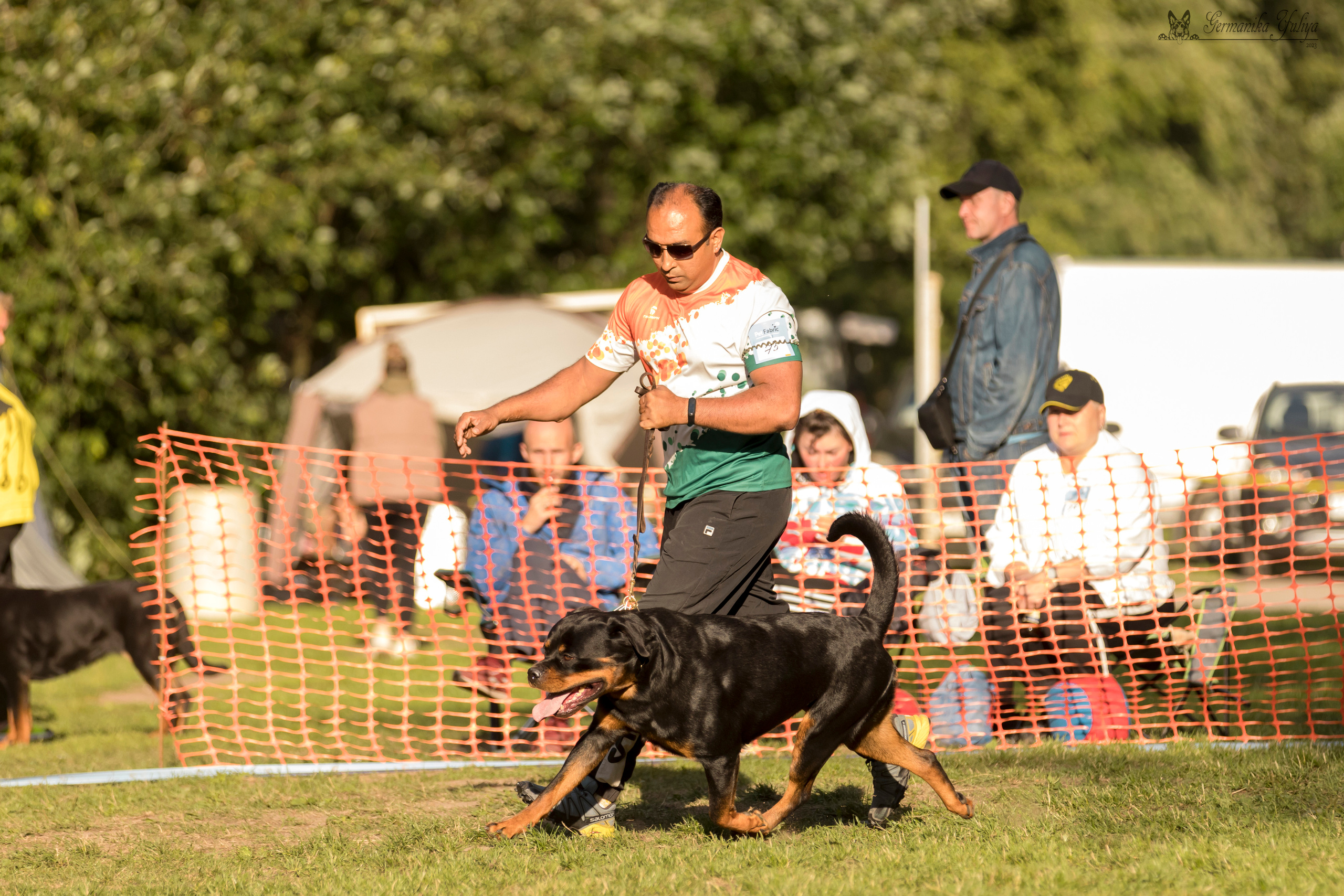 ПК и КЧК ротвейлеров Питер 22-23.07.2023. Фотограф-анималист Юлия Германика