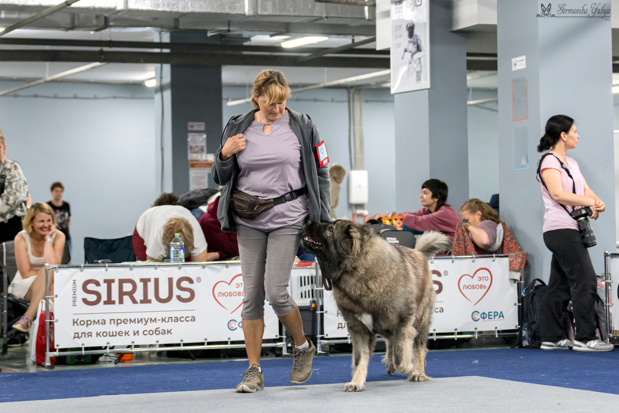 Сфера-Ховрино 29-30.07.2023. Фотограф-анималист Юлия Германика