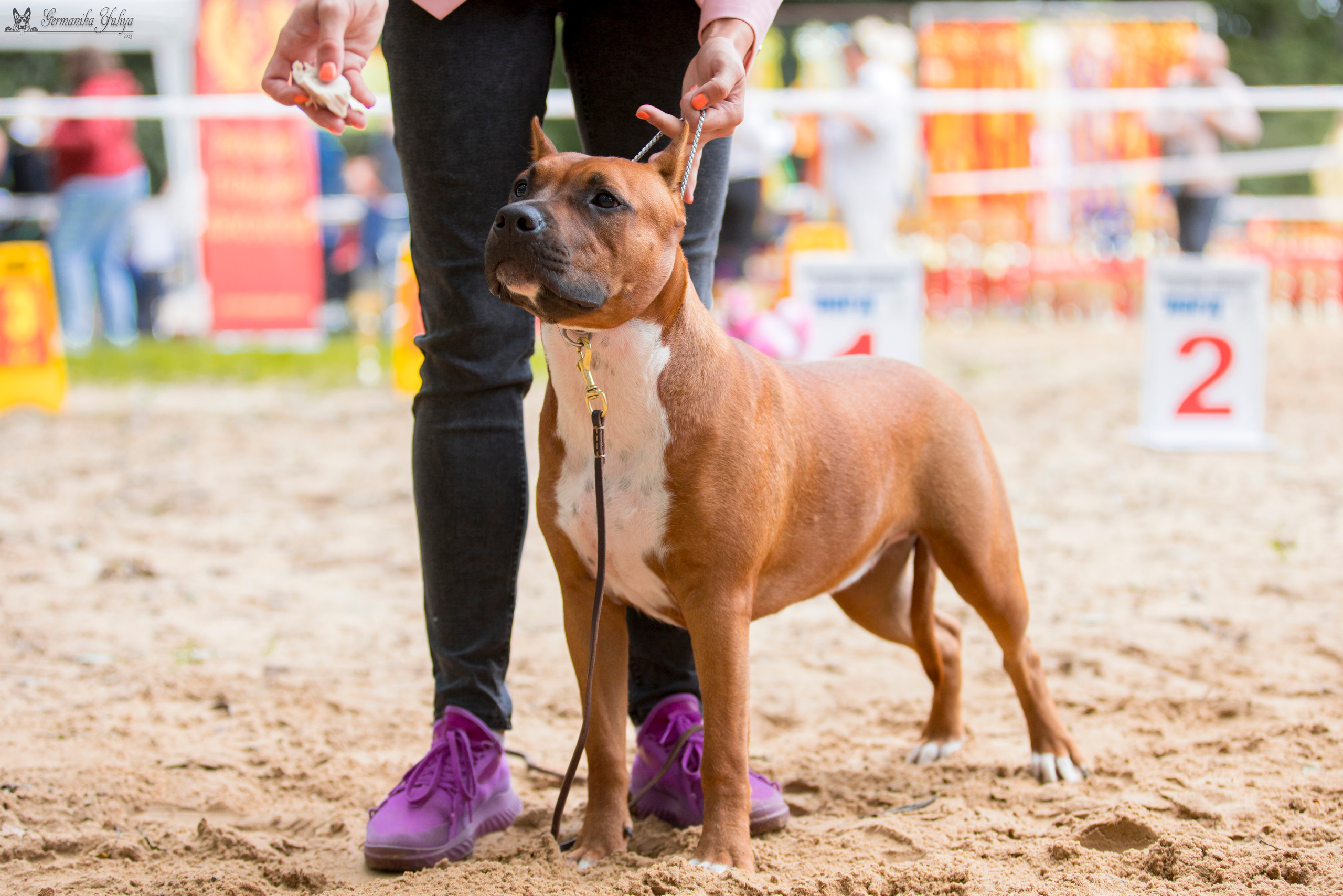 Ховрино 26.08.2023. Фотограф-анималист Юлия Германика