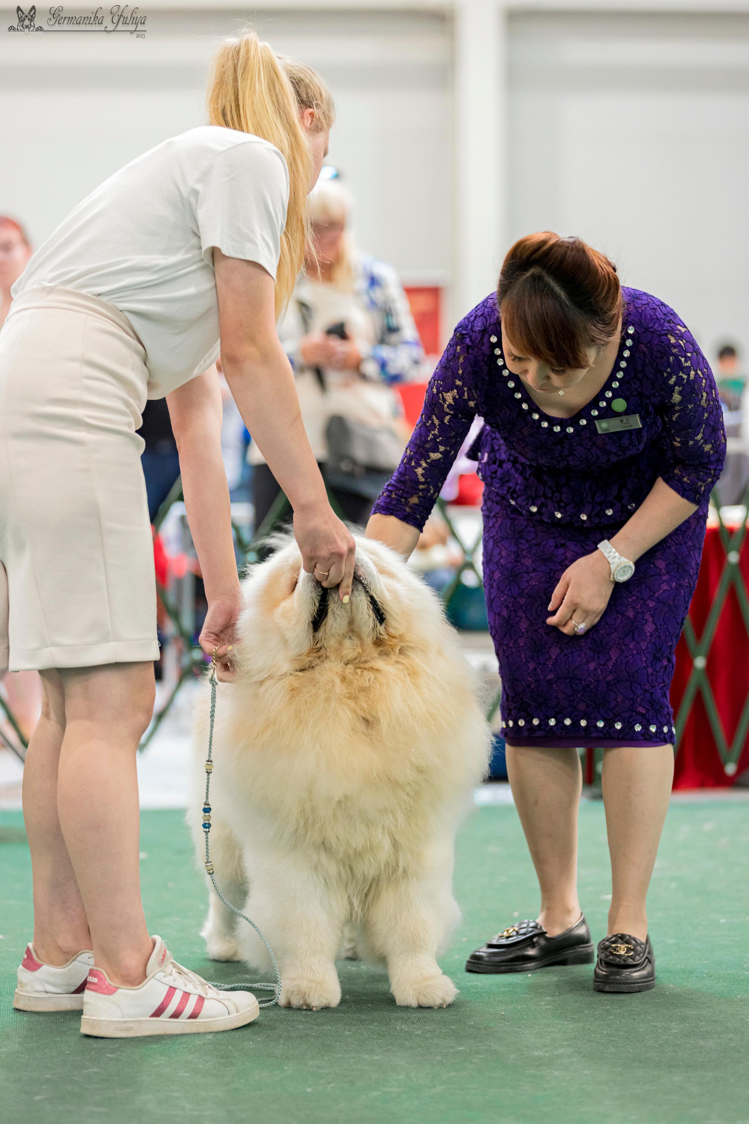 Крокус,Псков 5-6.08.2023. Фотограф-анималист Юлия Германика