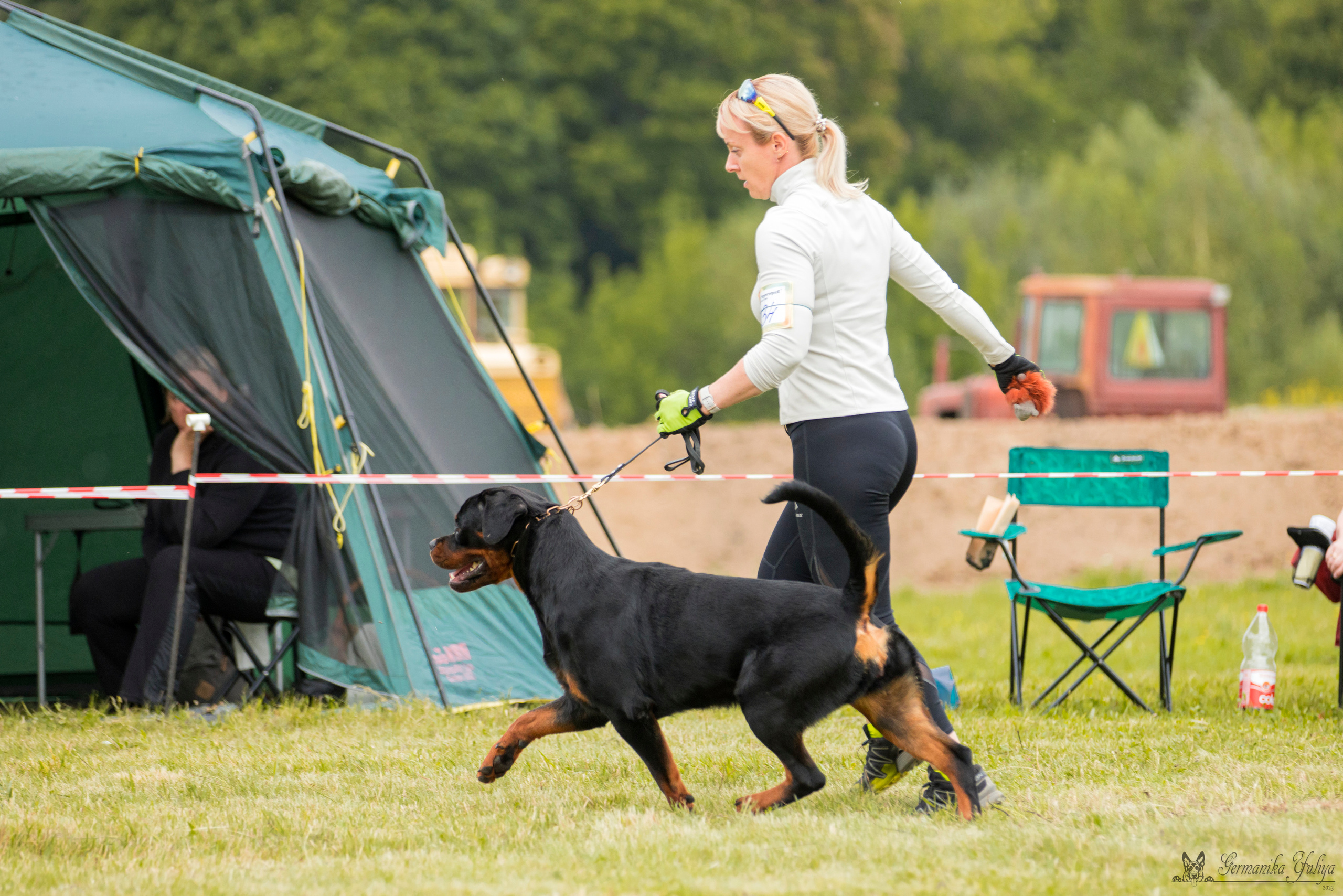 Рязань моно ротвейлеров 12.08.2023. Фотограф-анималист Юлия Германика