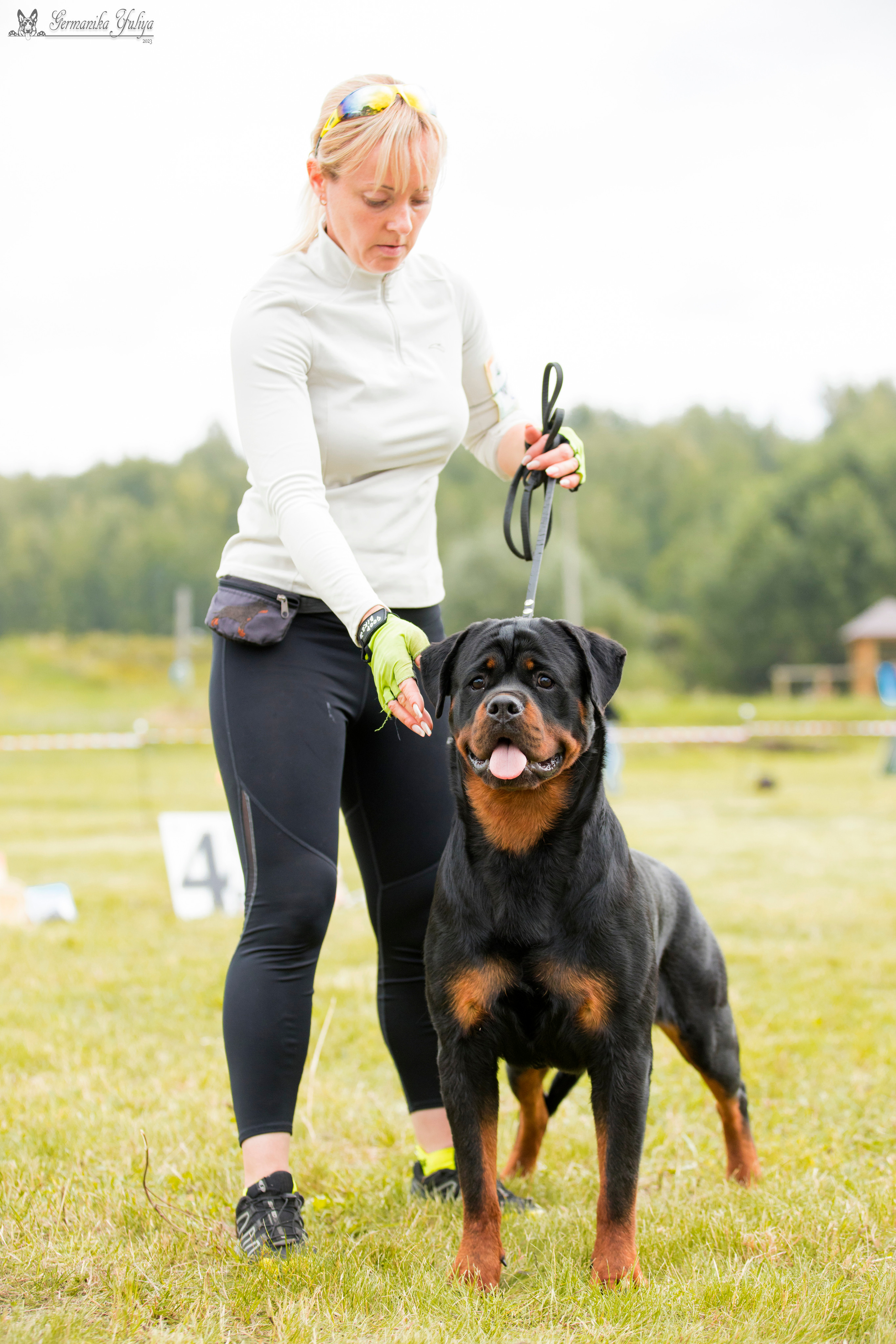 Рязань моно ротвейлеров 12.08.2023. Фотограф-анималист Юлия Германика