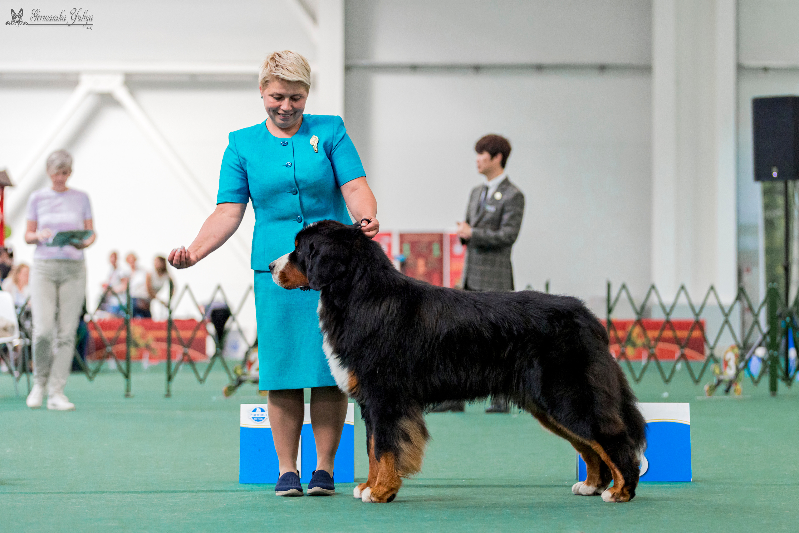 Крокус,Псков 5-6.08.2023. Фотограф-анималист Юлия Германика