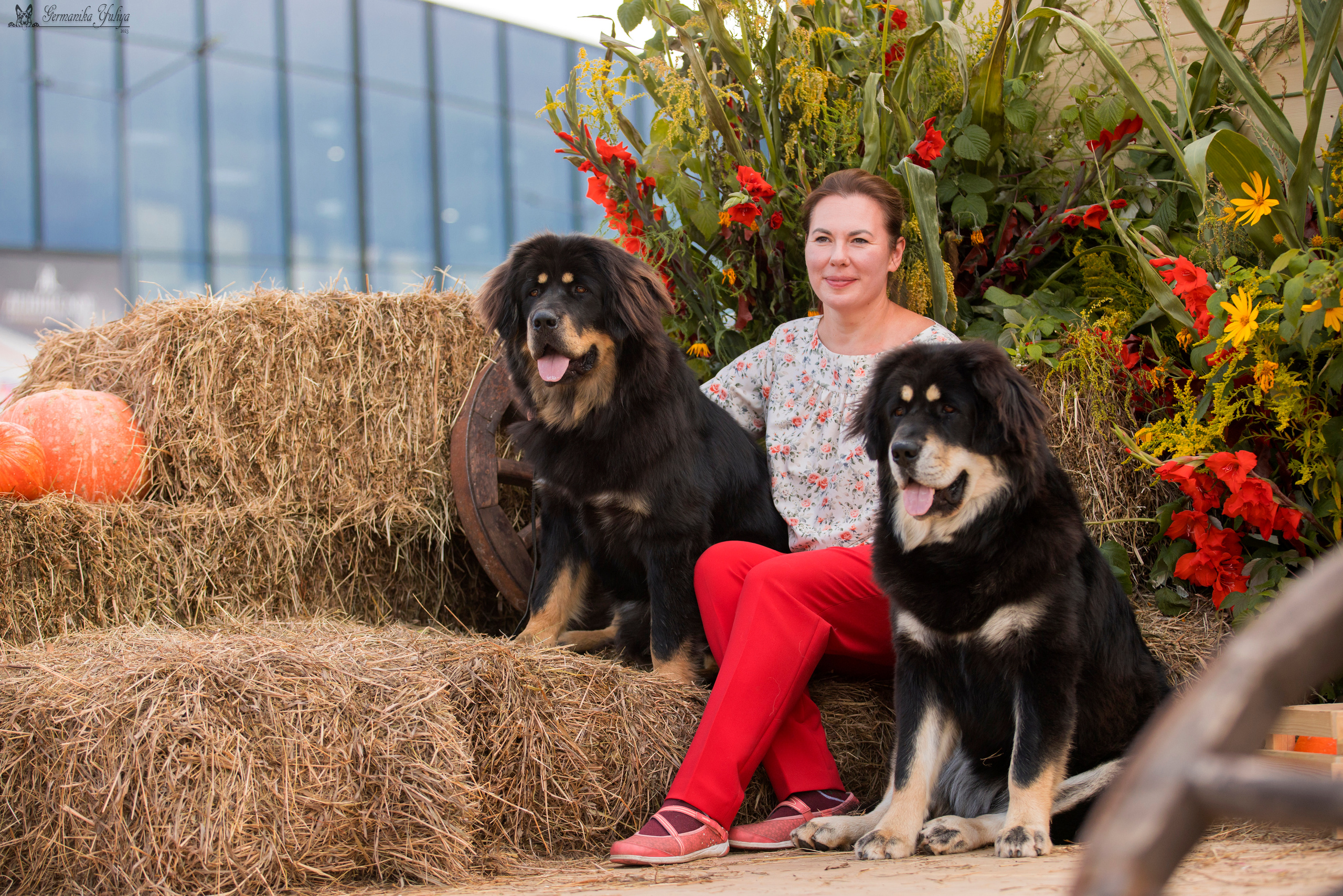 Питер 2-3.09.2023. Фотограф-анималист Юлия Германика