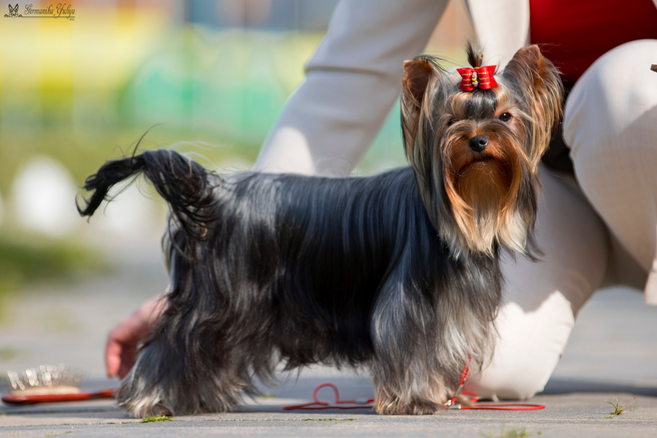Питер 2-3.09.2023. Фотограф-анималист Юлия Германика