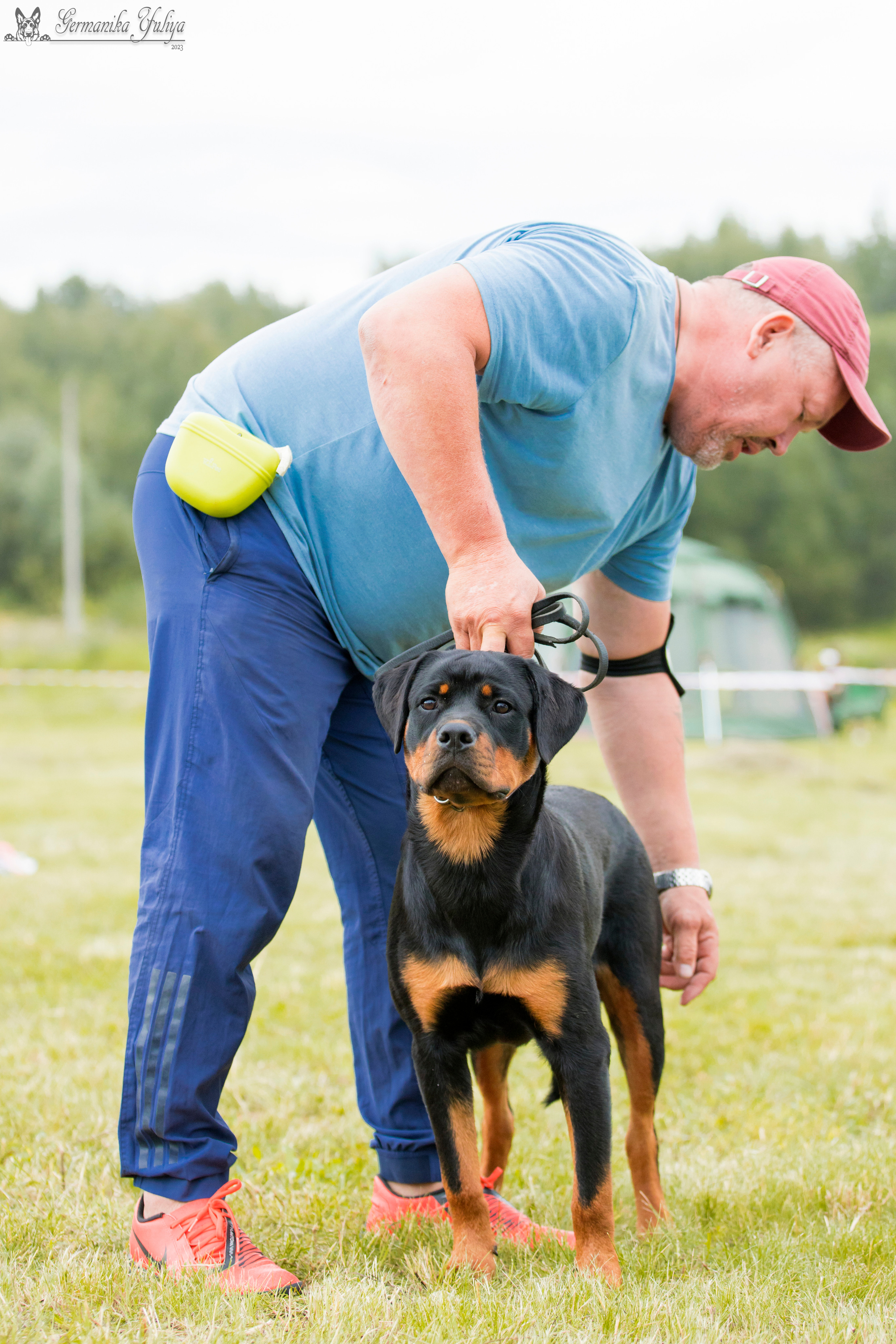 Рязань моно ротвейлеров 12.08.2023. Фотограф-анималист Юлия Германика