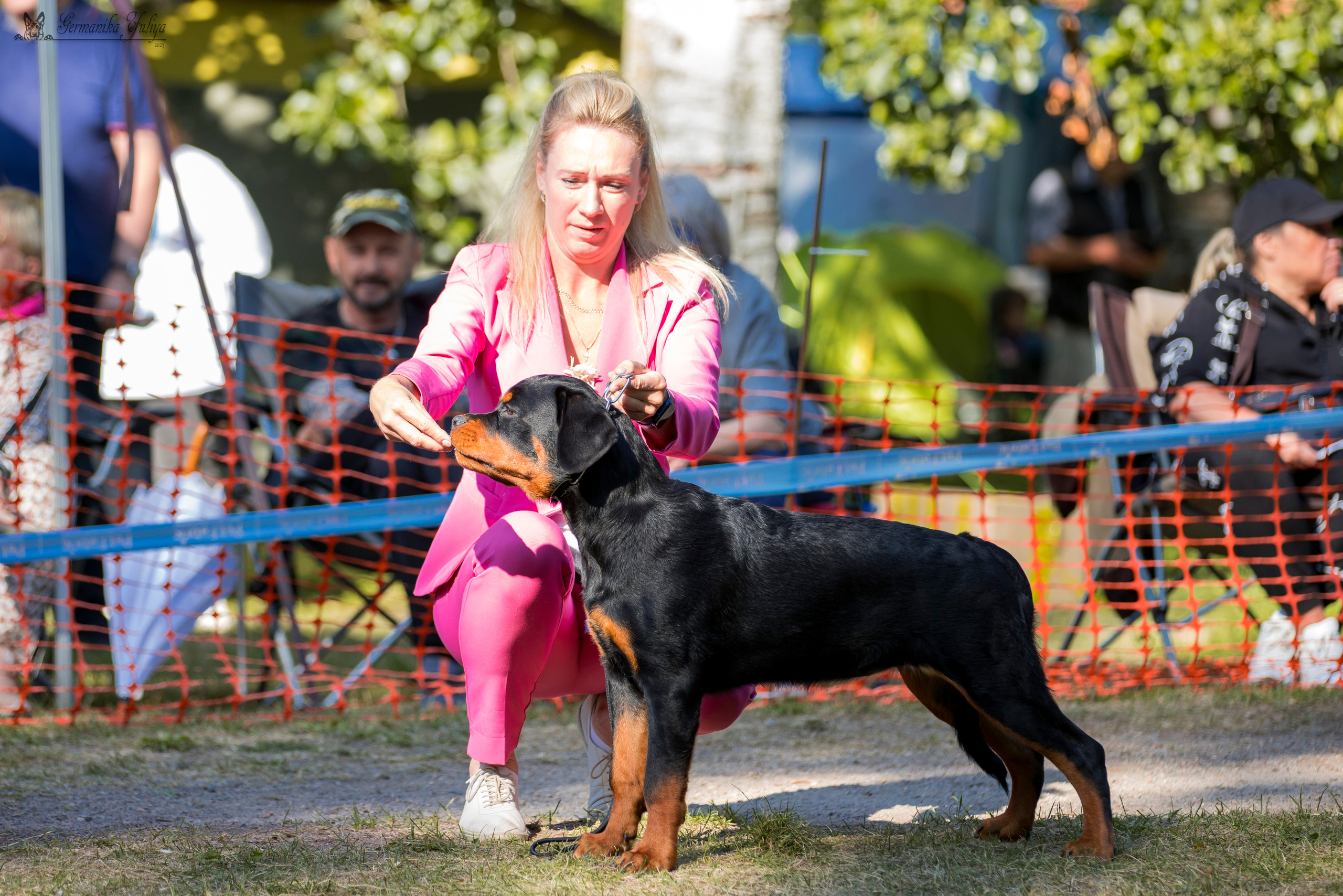 ПК и КЧК ротвейлеров Питер 22-23.07.2023. Фотограф-анималист Юлия Германика