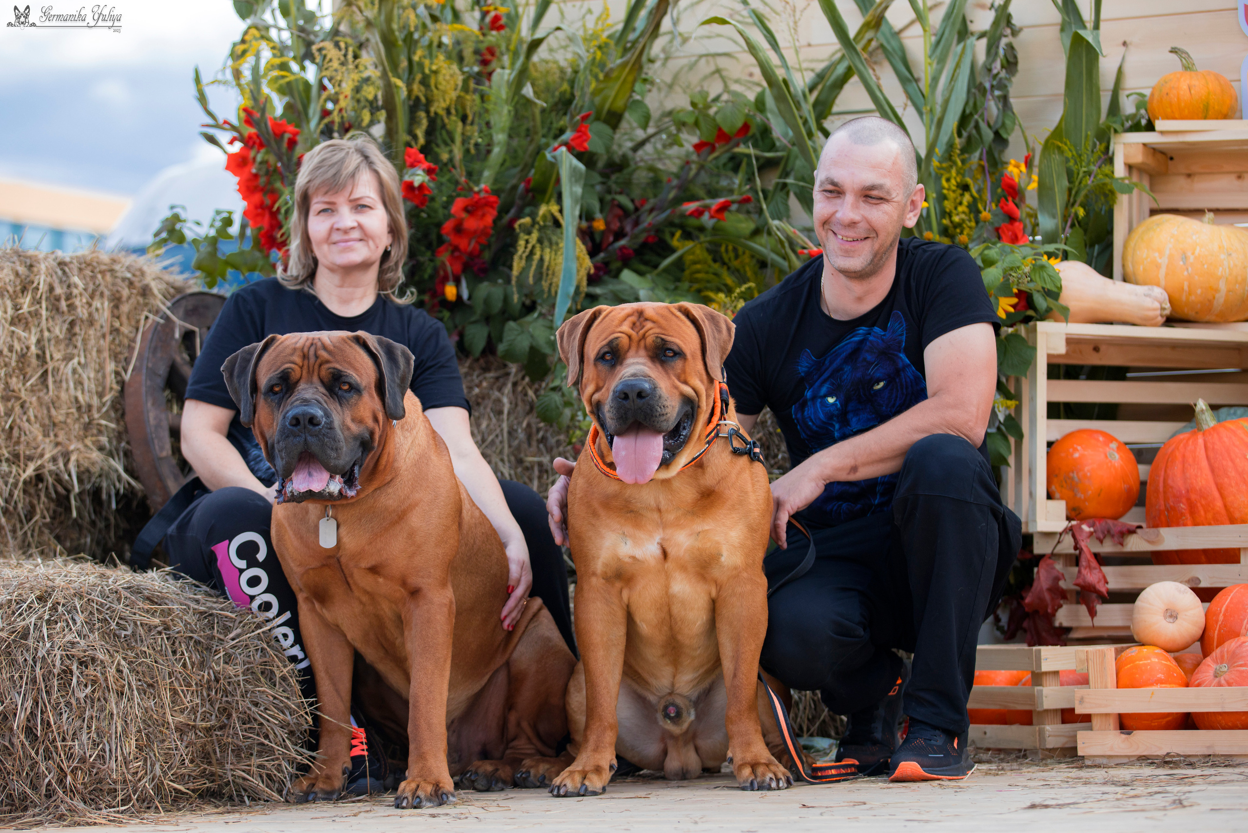 Питер 2-3.09.2023. Фотограф-анималист Юлия Германика