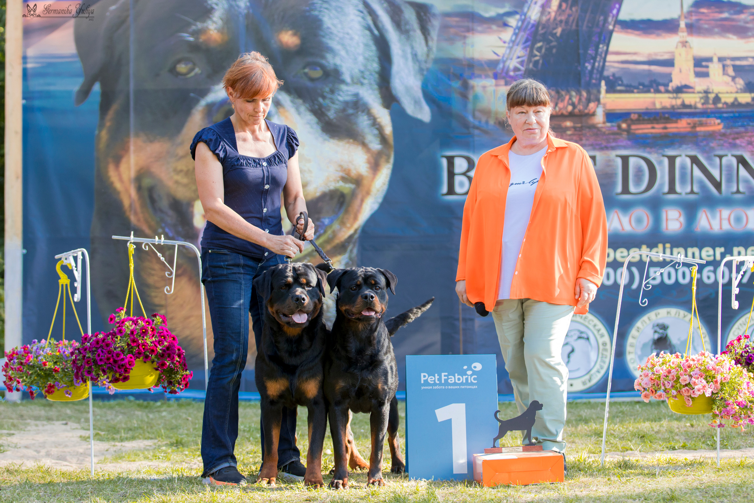 ПК и КЧК ротвейлеров Питер 22-23.07.2023. Фотограф-анималист Юлия Германика
