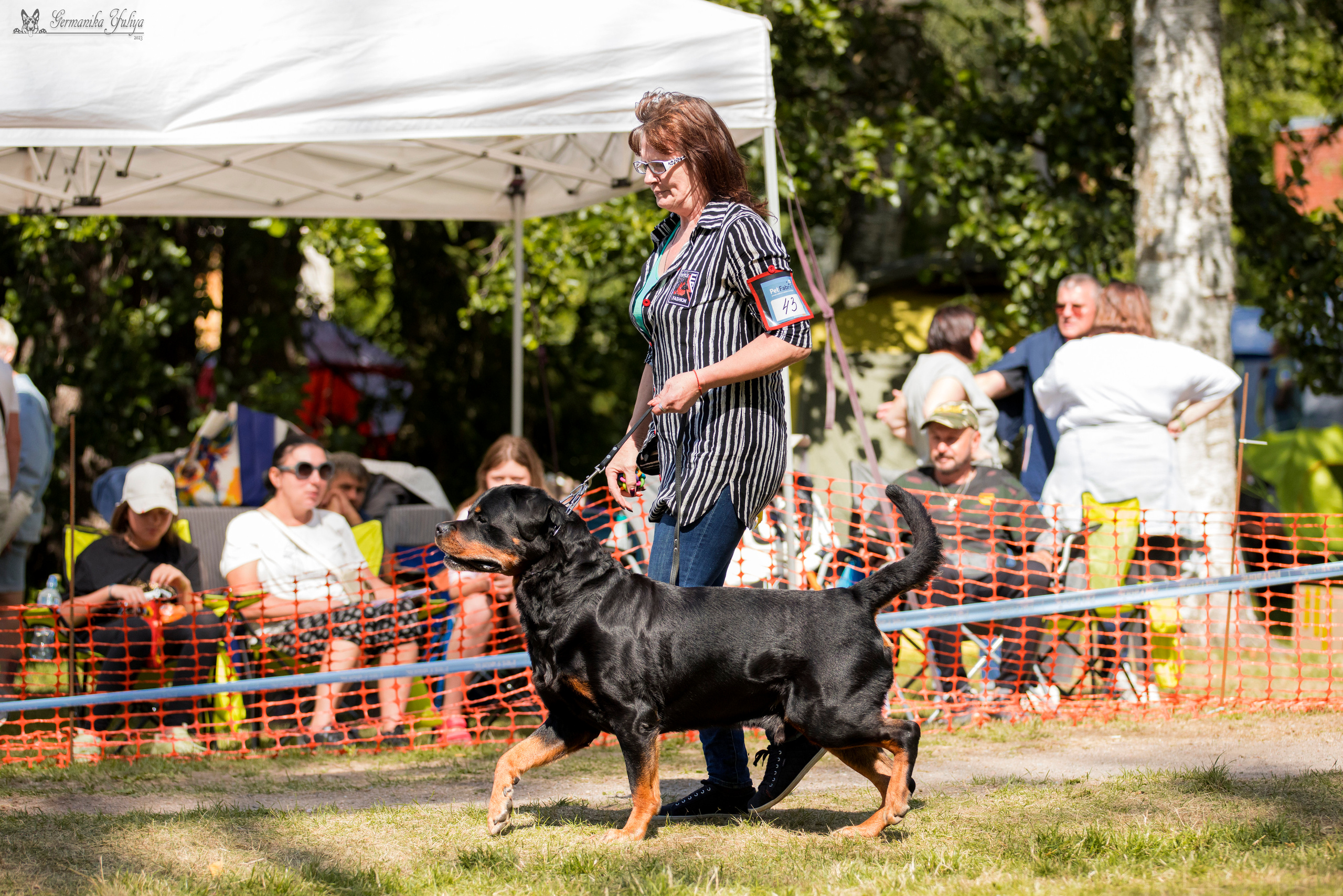 ПК и КЧК ротвейлеров Питер 22-23.07.2023. Фотограф-анималист Юлия Германика