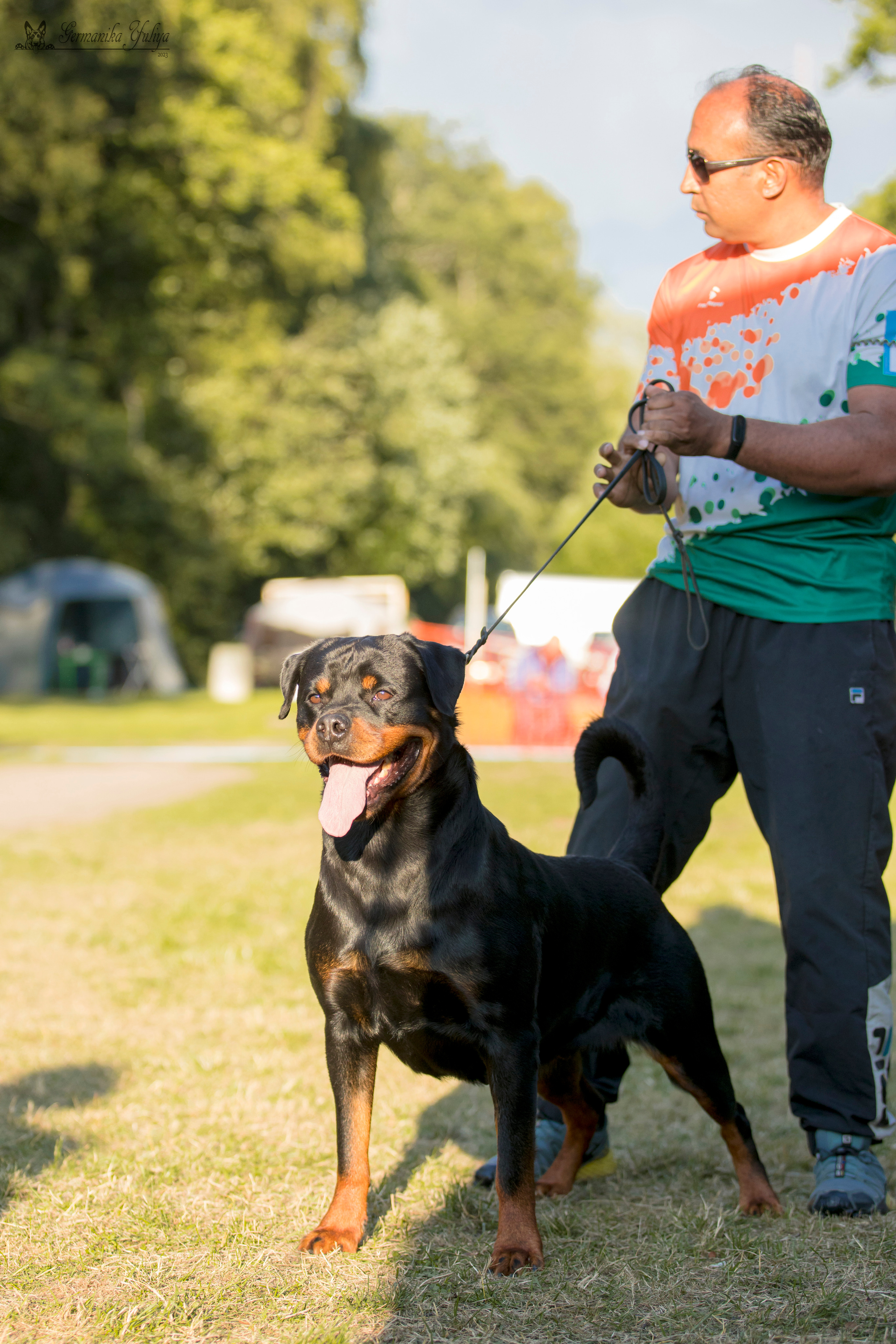 ПК и КЧК ротвейлеров Питер 22-23.07.2023. Фотограф-анималист Юлия Германика