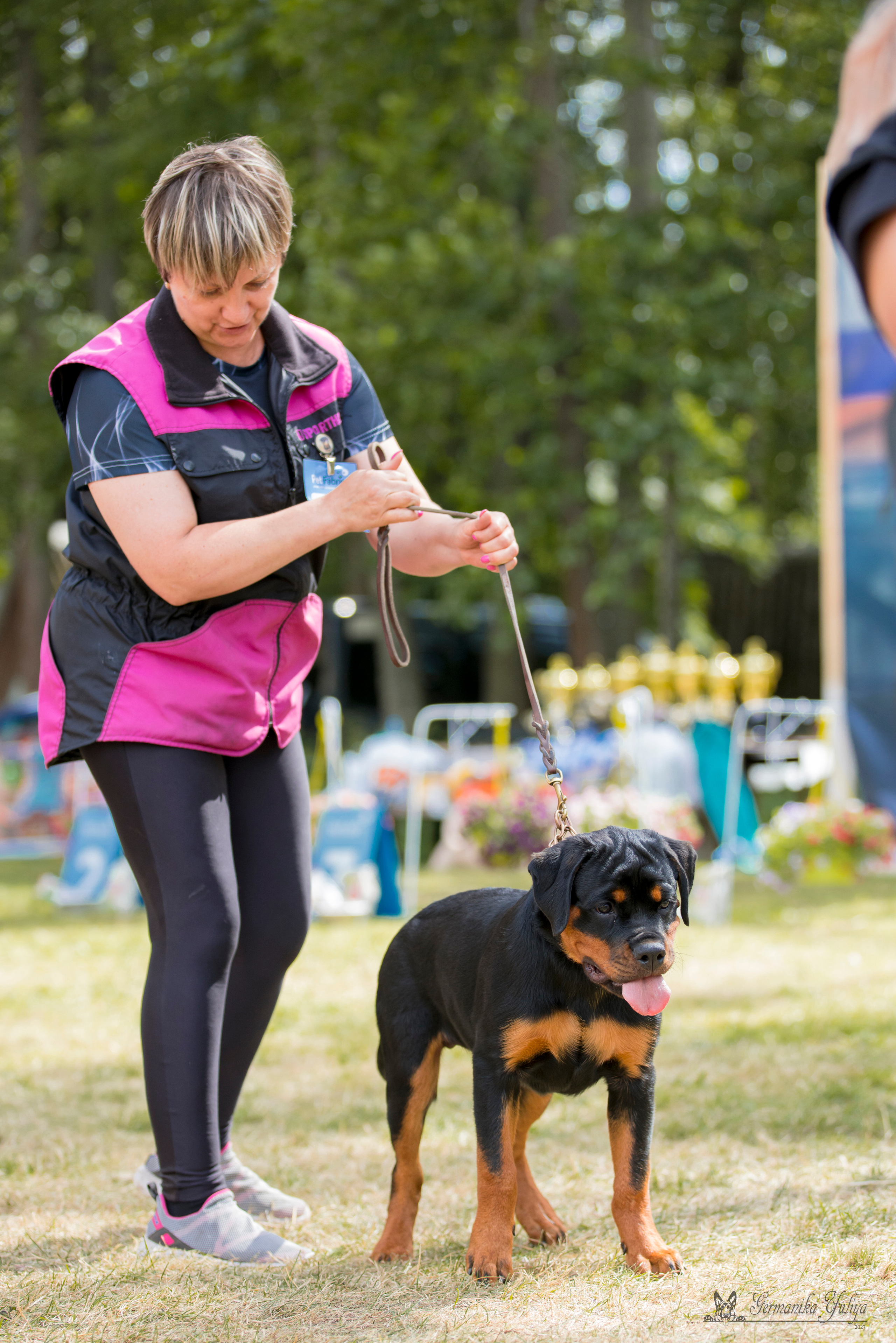 ПК и КЧК ротвейлеров Питер 22-23.07.2023. Фотограф-анималист Юлия Германика