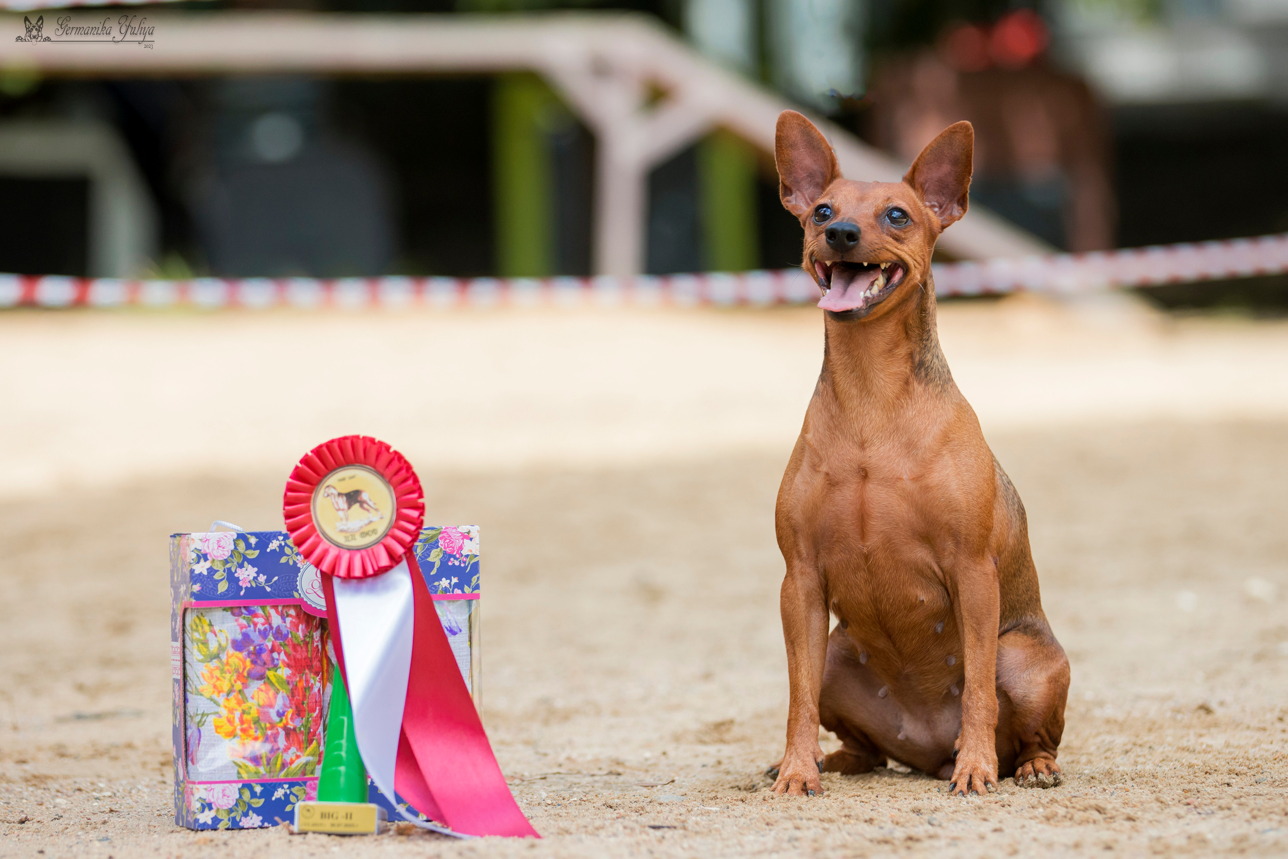 Сфера-Ховрино 29-30.07.2023. Фотограф-анималист Юлия Германика