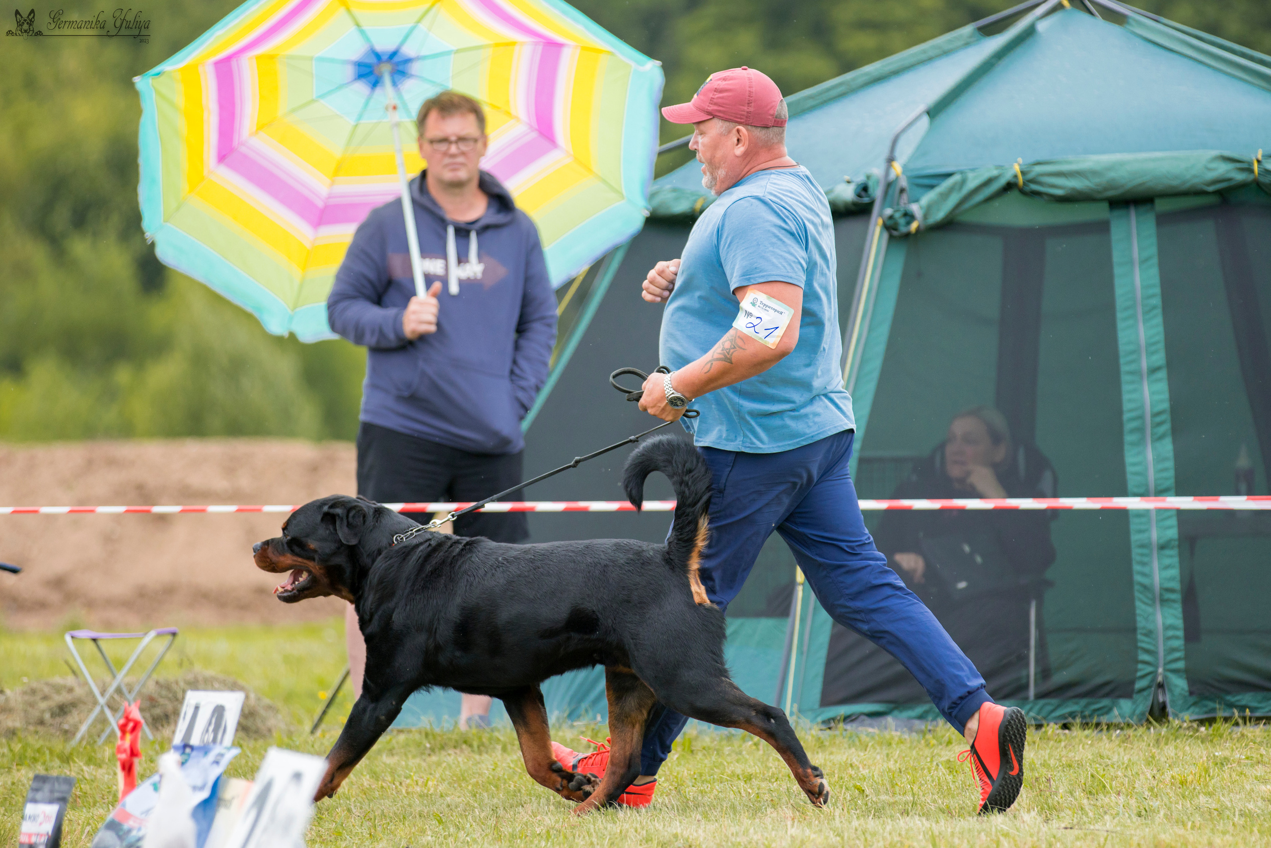Рязань моно ротвейлеров 12.08.2023. Фотограф-анималист Юлия Германика