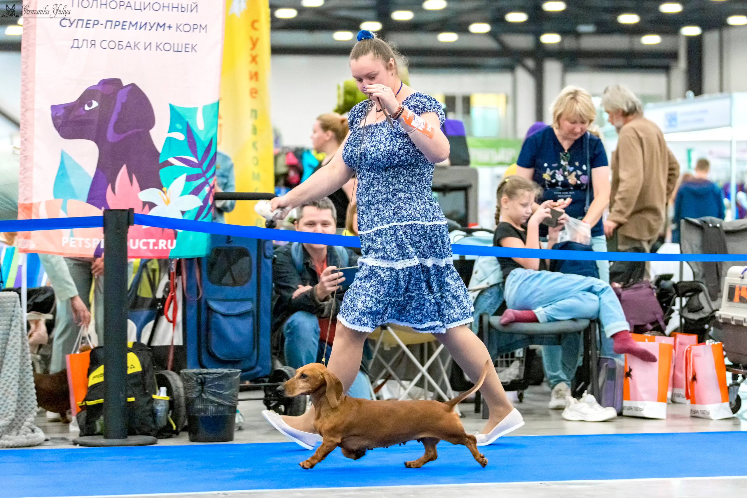 Питер 2-3.09.2023. Фотограф-анималист Юлия Германика