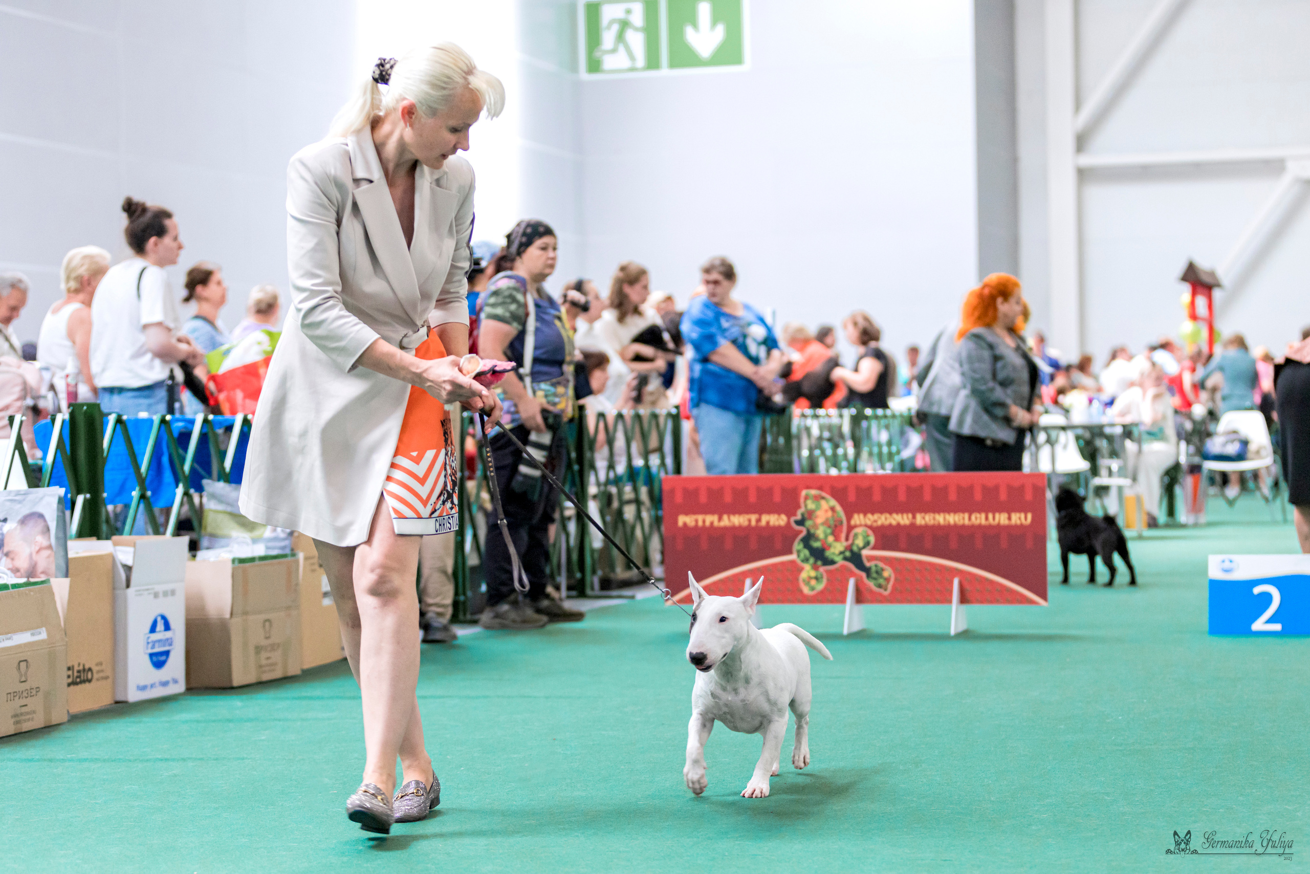 Крокус,Псков 5-6.08.2023. Фотограф-анималист Юлия Германика