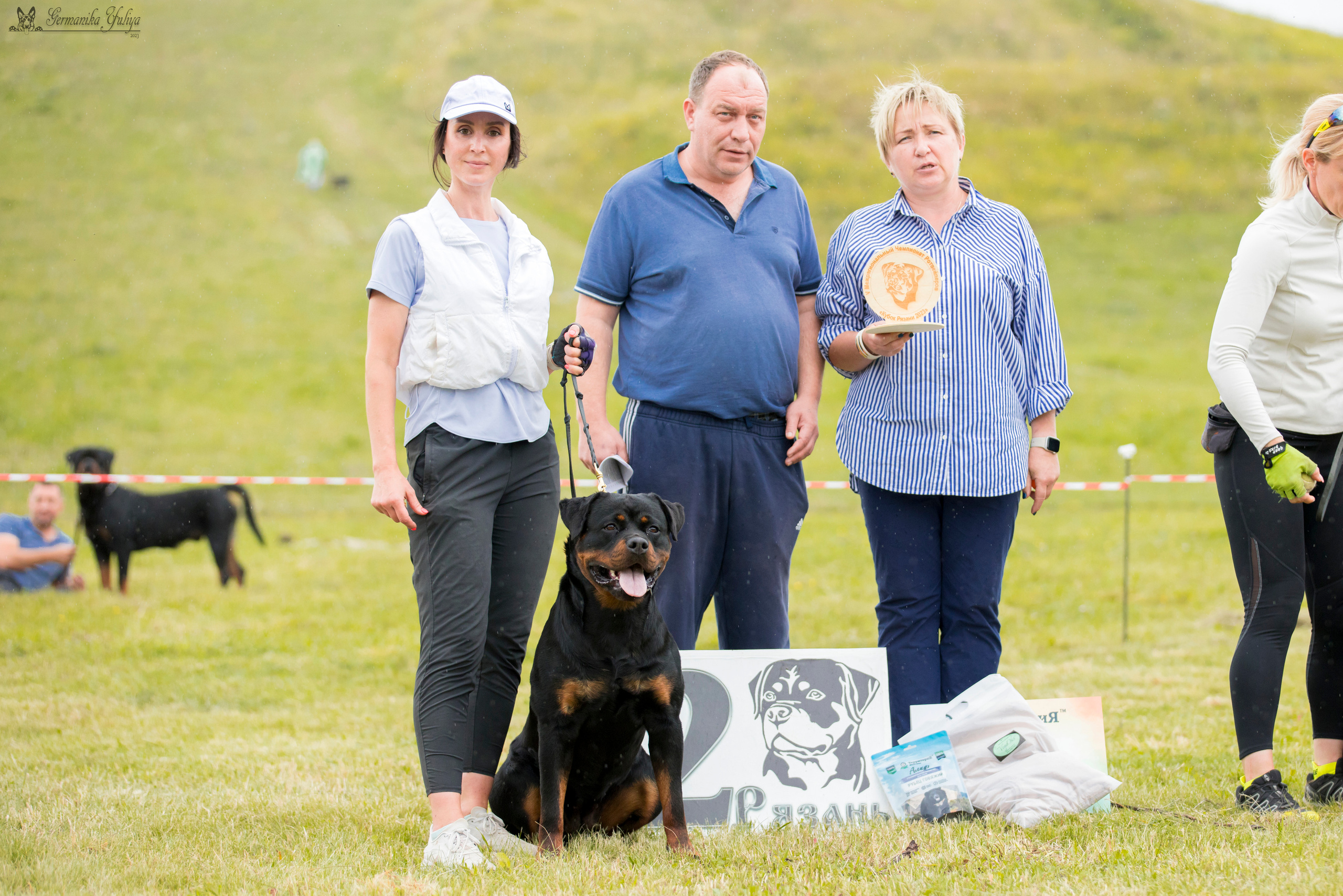 Рязань моно ротвейлеров 12.08.2023. Фотограф-анималист Юлия Германика