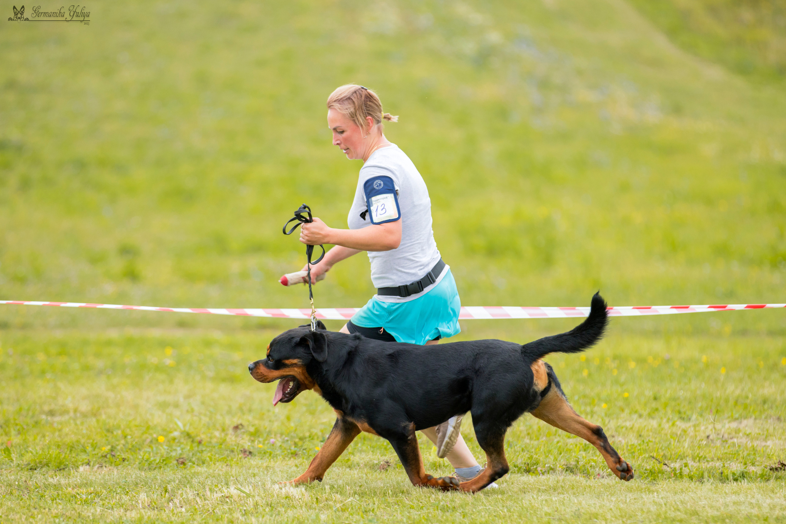 Рязань моно ротвейлеров 12.08.2023. Фотограф-анималист Юлия Германика