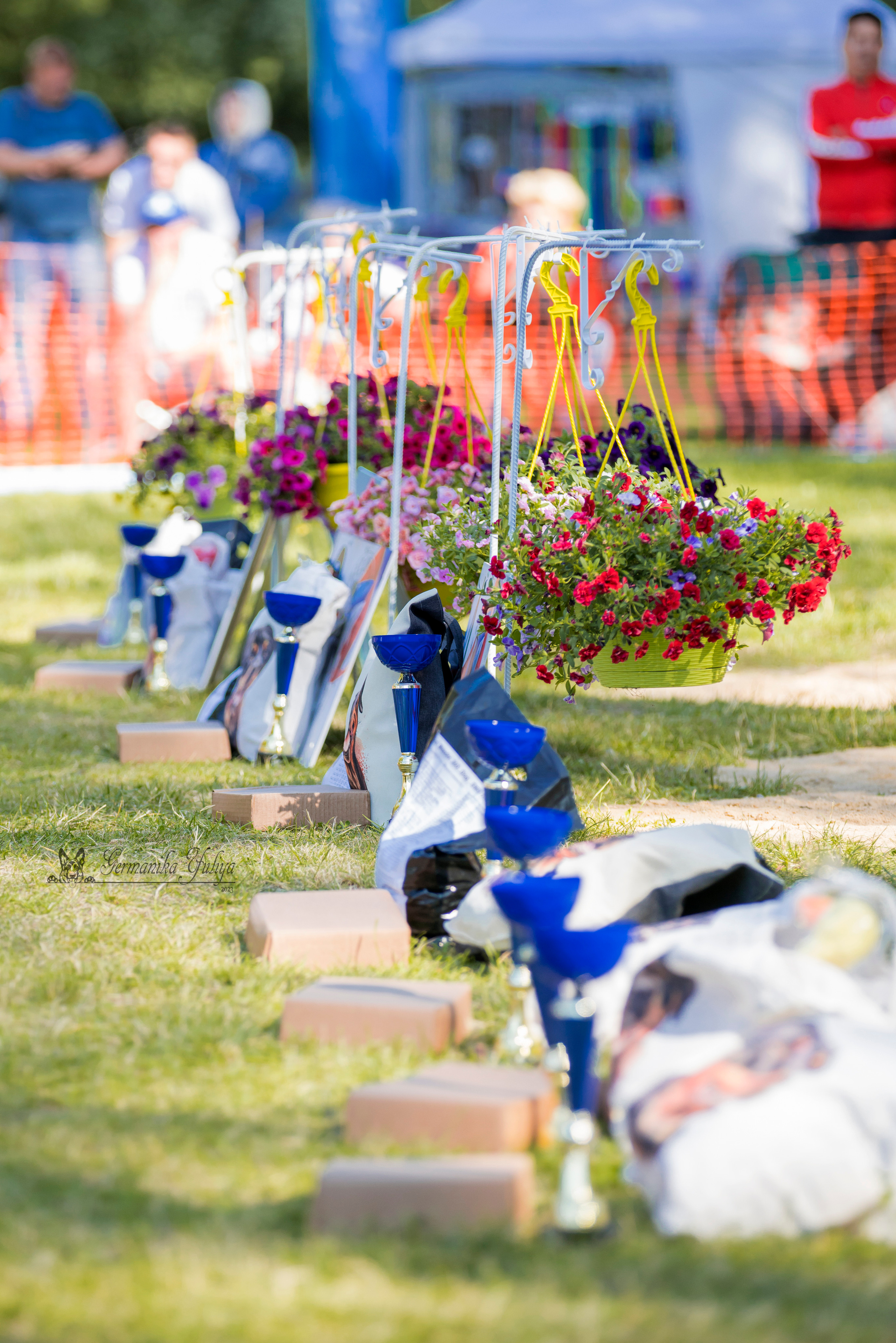 ПК и КЧК ротвейлеров Питер 22-23.07.2023. Фотограф-анималист Юлия Германика