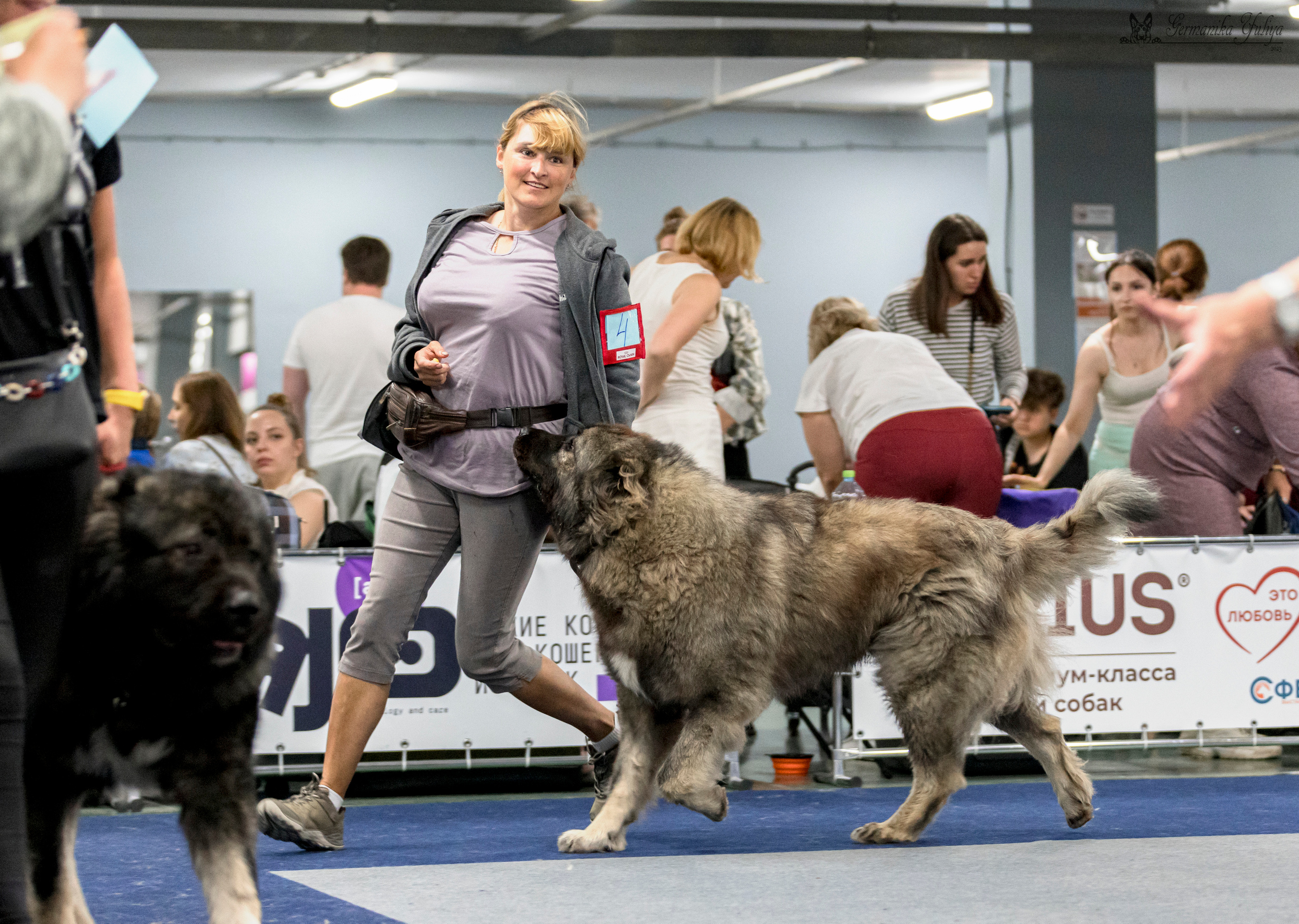 Сфера-Ховрино 29-30.07.2023. Фотограф-анималист Юлия Германика