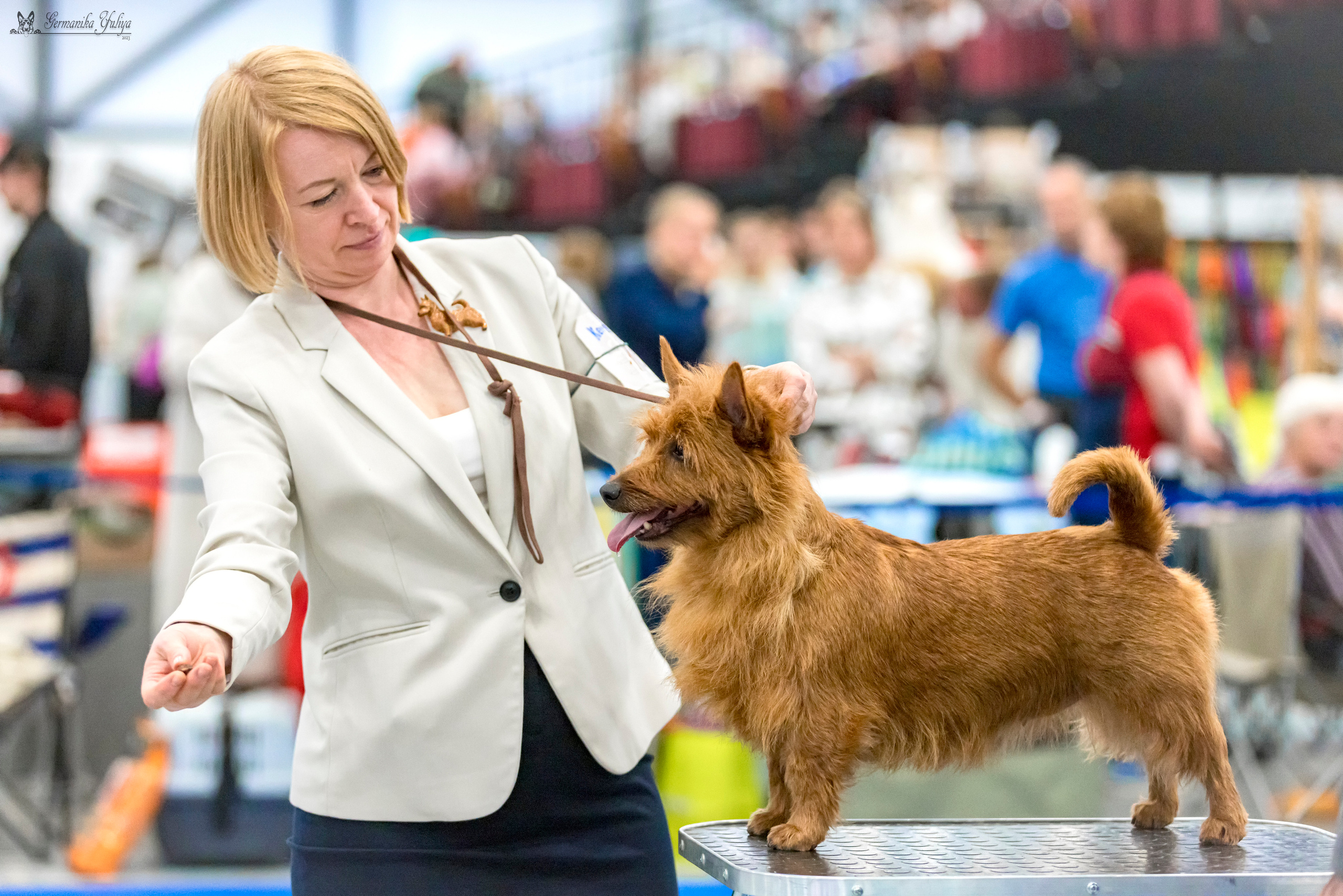 Питер 2-3.09.2023. Фотограф-анималист Юлия Германика