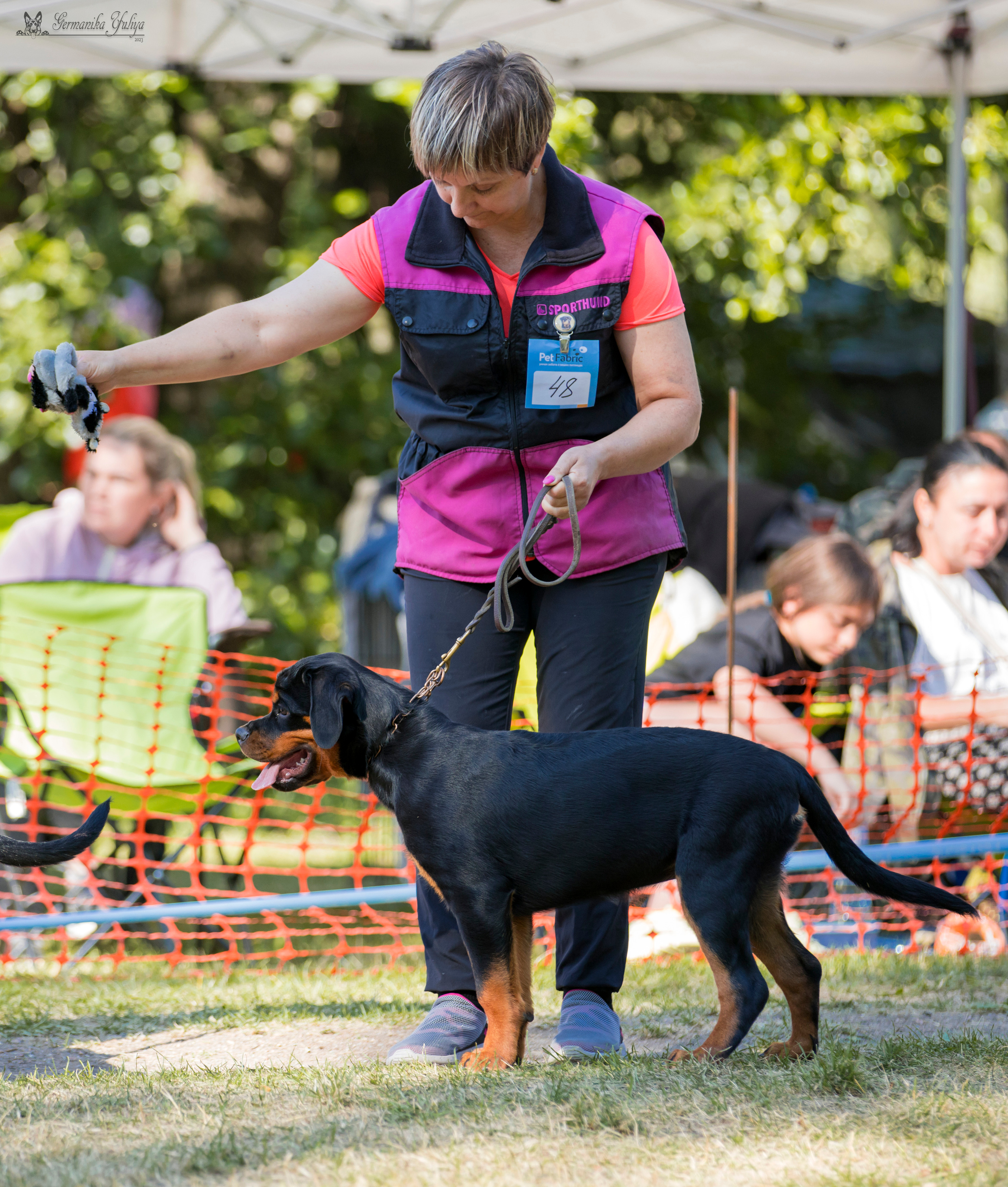 ПК и КЧК ротвейлеров Питер 22-23.07.2023. Фотограф-анималист Юлия Германика