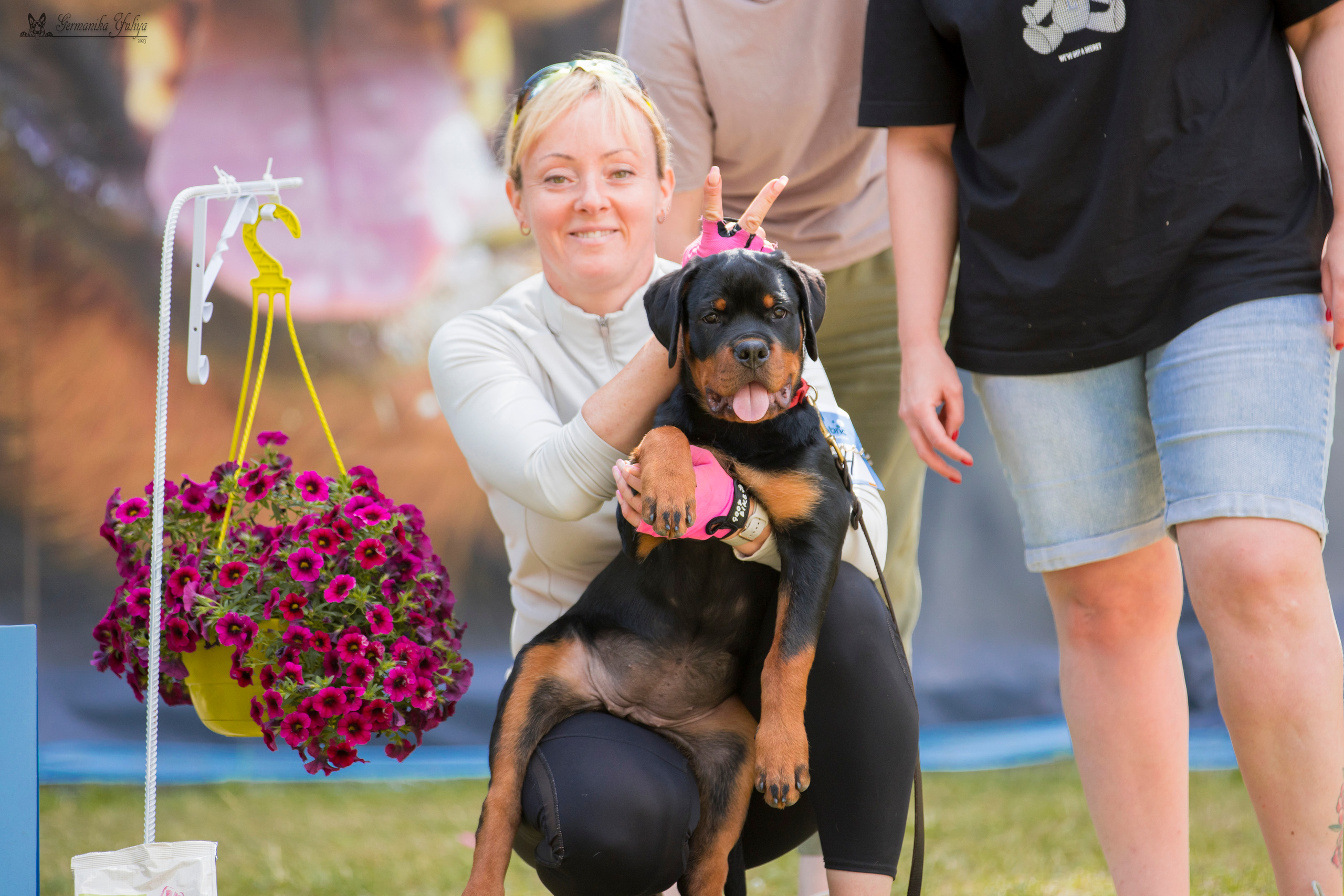 ПК и КЧК ротвейлеров Питер 22-23.07.2023. Фотограф-анималист Юлия Германика