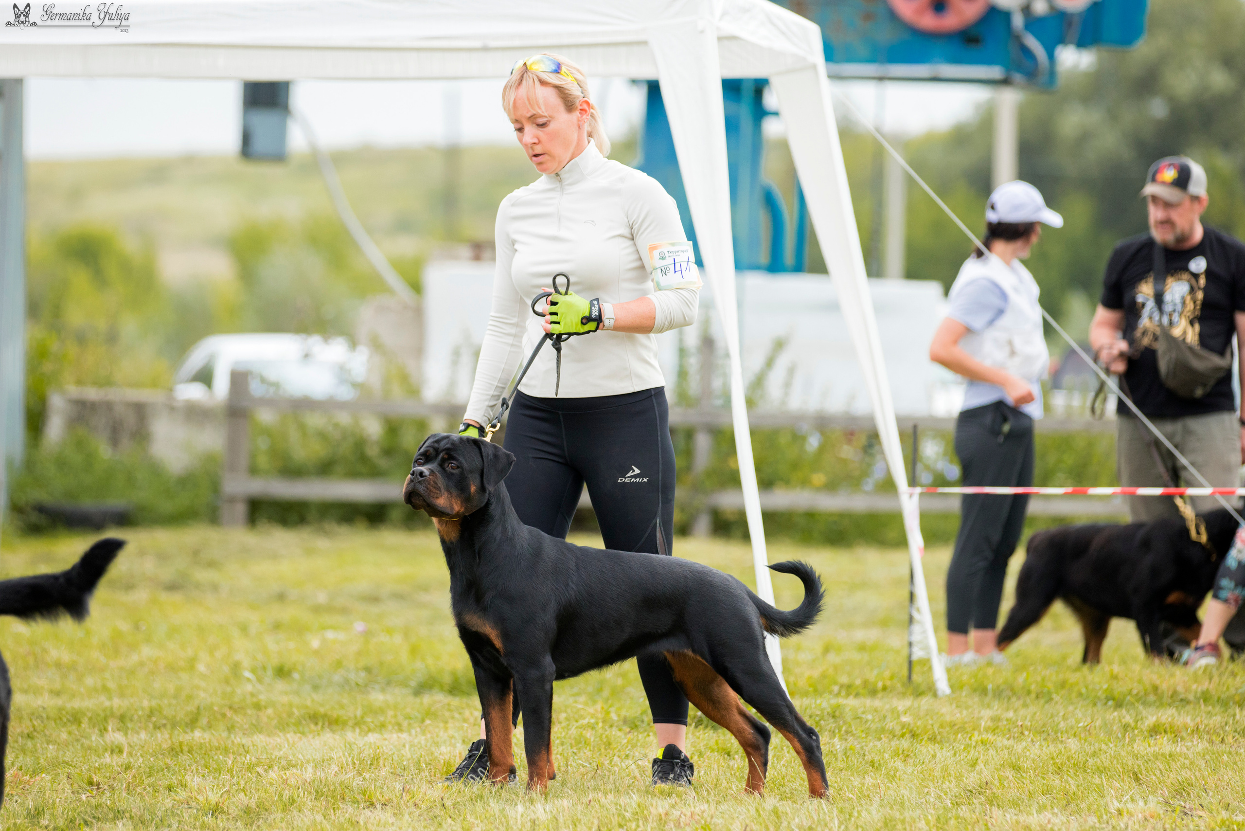 Рязань моно ротвейлеров 12.08.2023. Фотограф-анималист Юлия Германика
