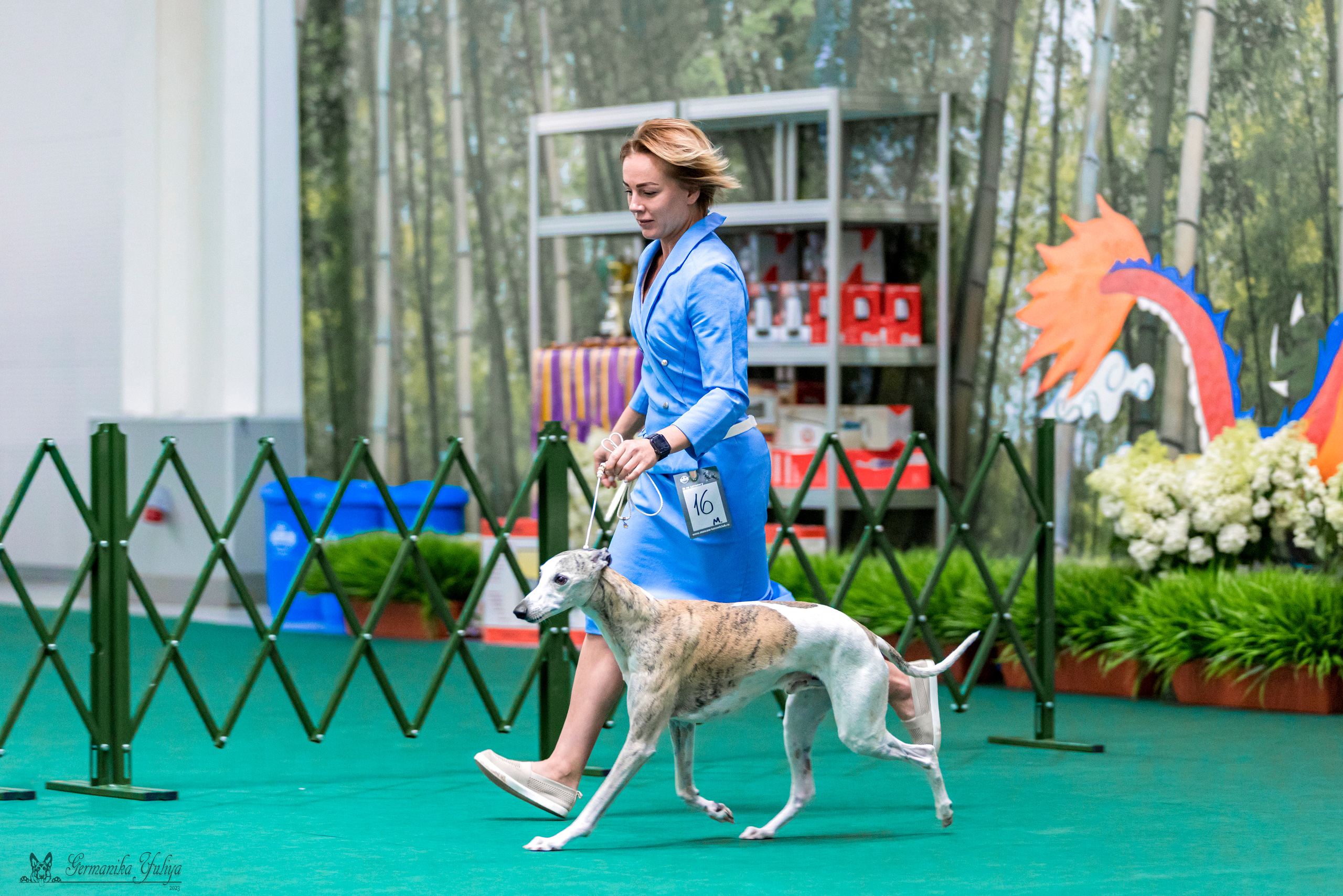 Крокус,Псков 5-6.08.2023. Фотограф-анималист Юлия Германика