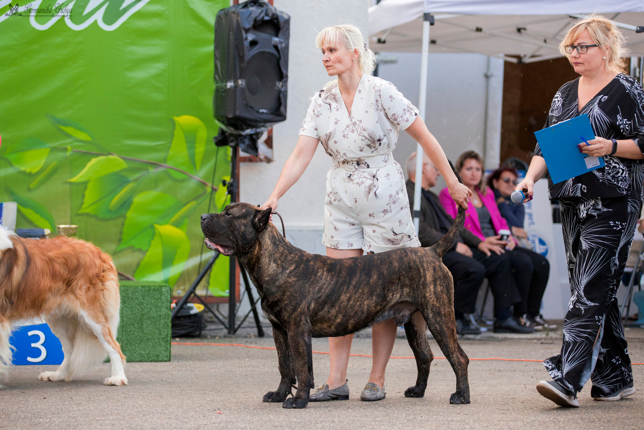 Рязань 12.08.и Пушкино 19.08.2023. Фотограф-анималист Юлия Германика