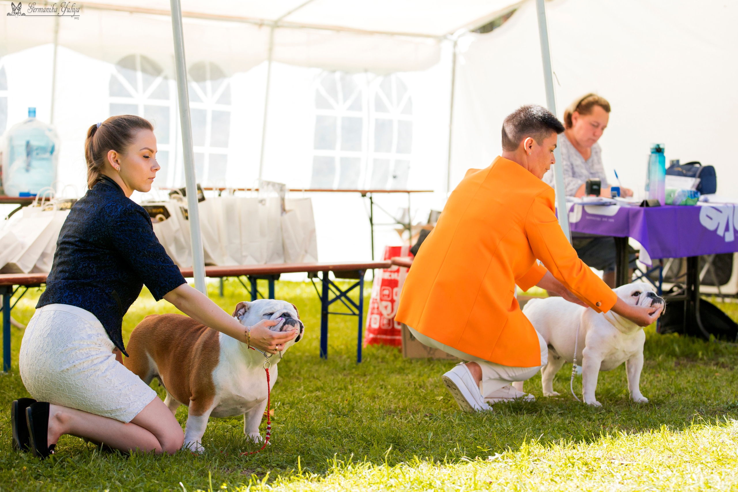 Крокус,Псков 5-6.08.2023. Фотограф-анималист Юлия Германика