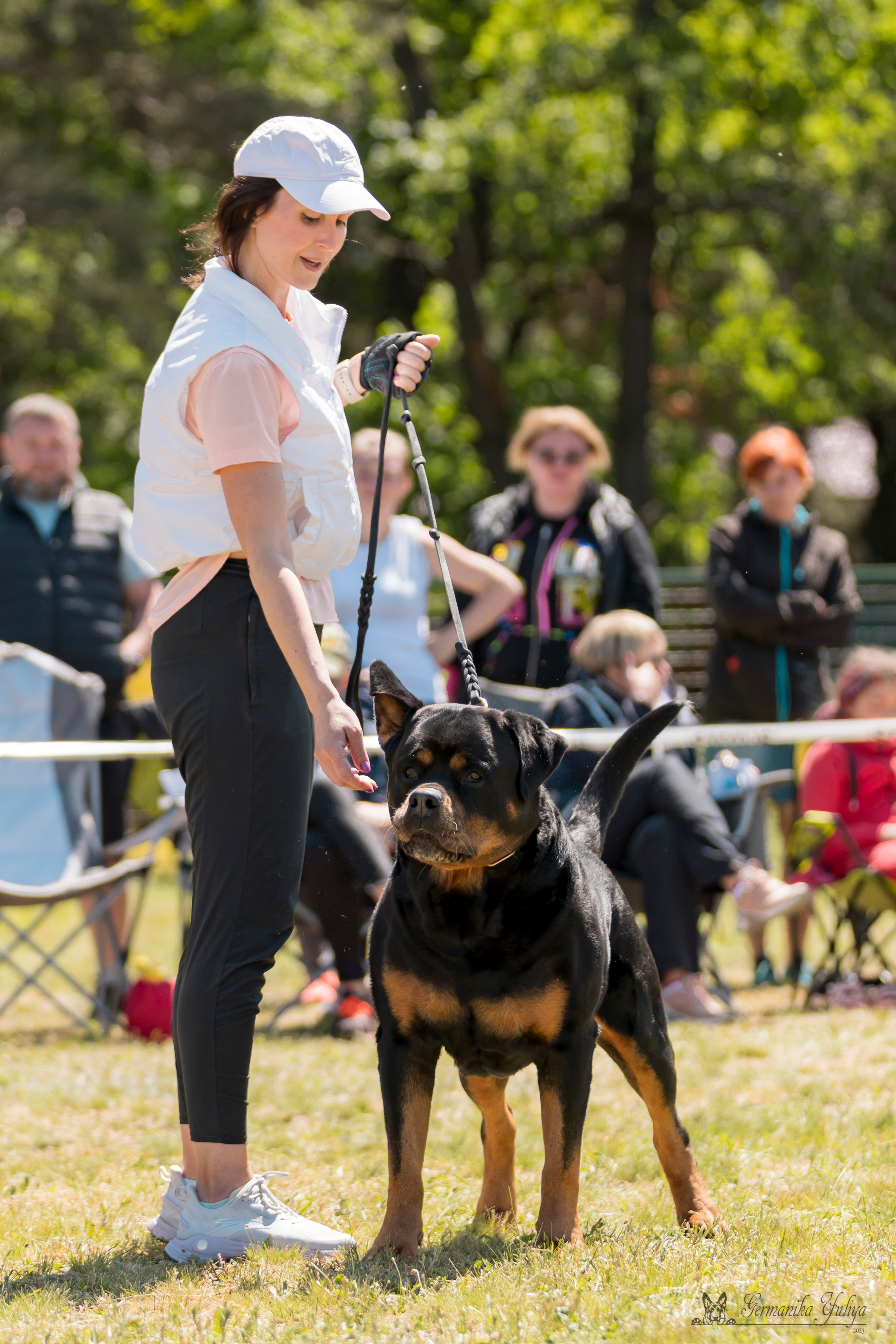 Воронеж 2хмоно ротвейлеров 3-4.06.2023. Фотограф-анималист Юлия Германика