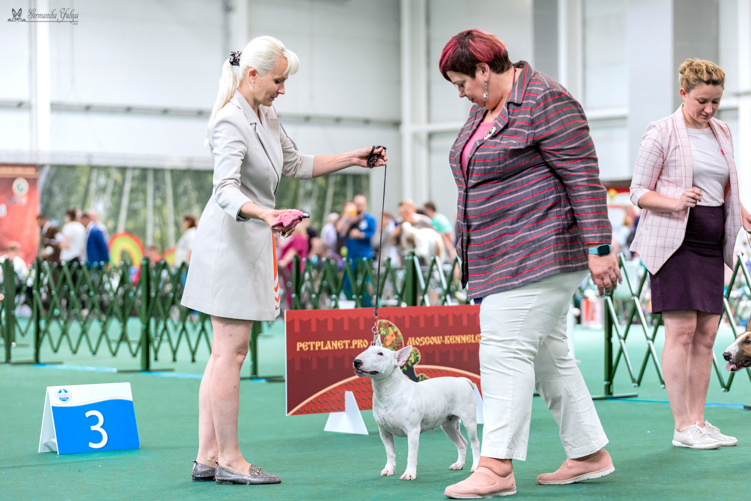 Крокус,Псков 5-6.08.2023. Фотограф-анималист Юлия Германика